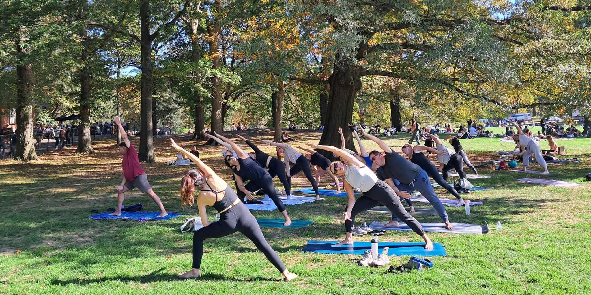 New York Central Park Yoga Class - Image 2