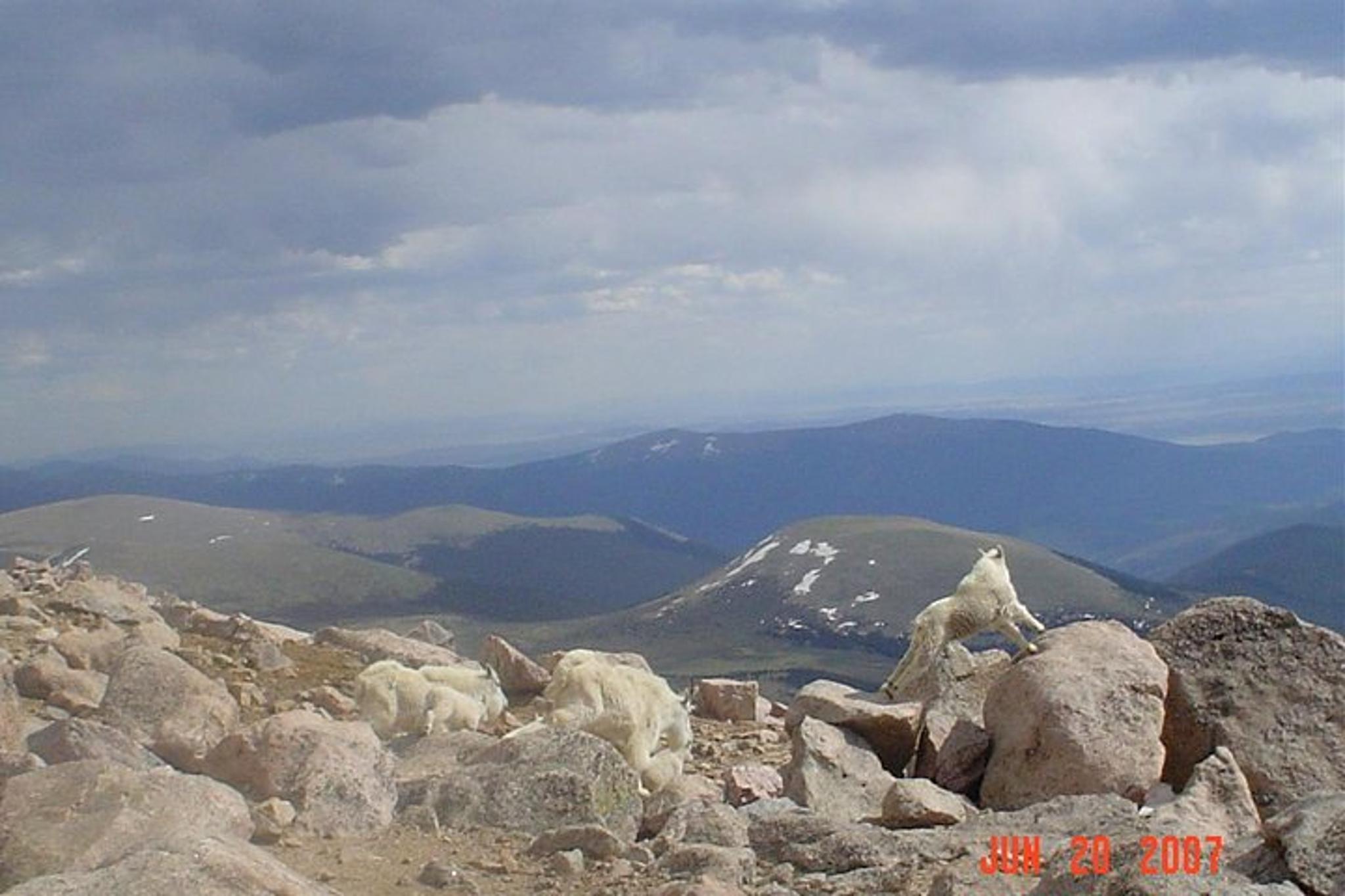Denver Red Rocks and Mount Evans Private Tour - Image 3