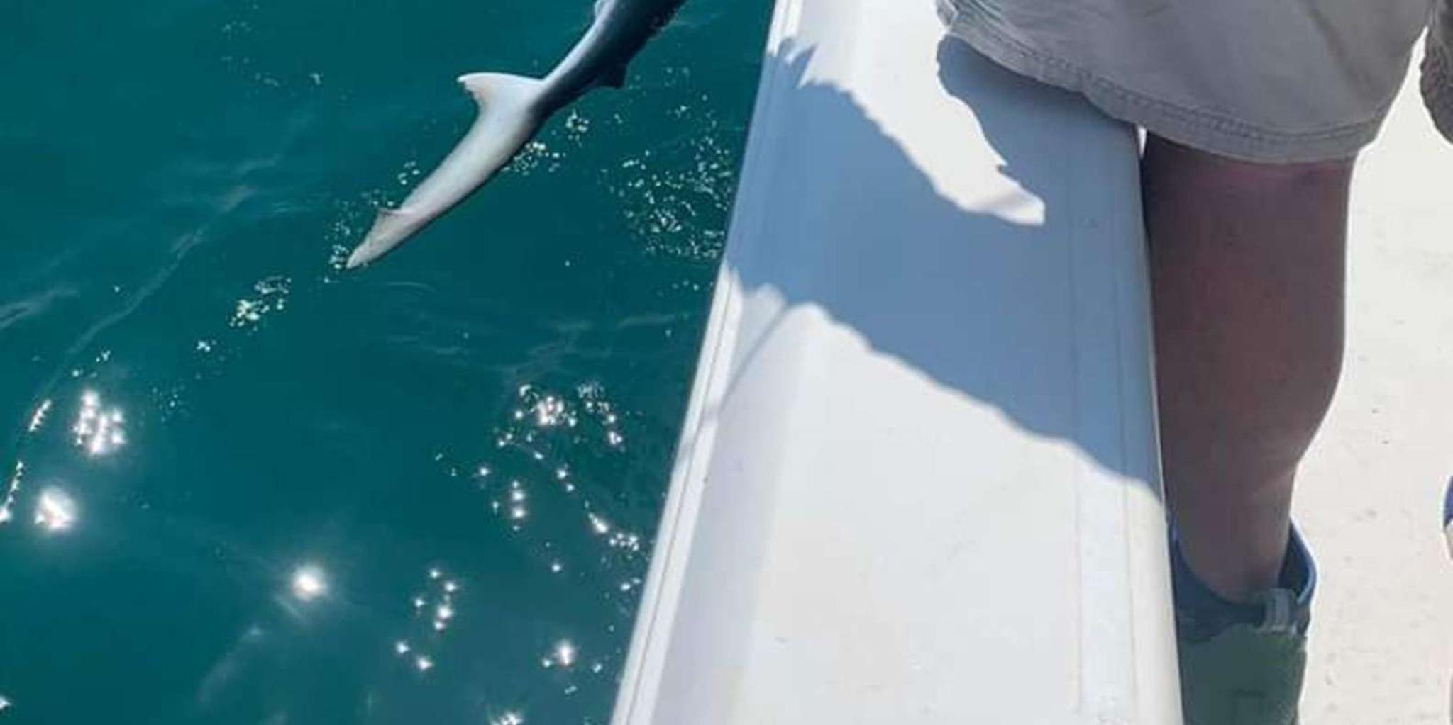 Sarasota Fishing Tour with Skyway Views - Image 4