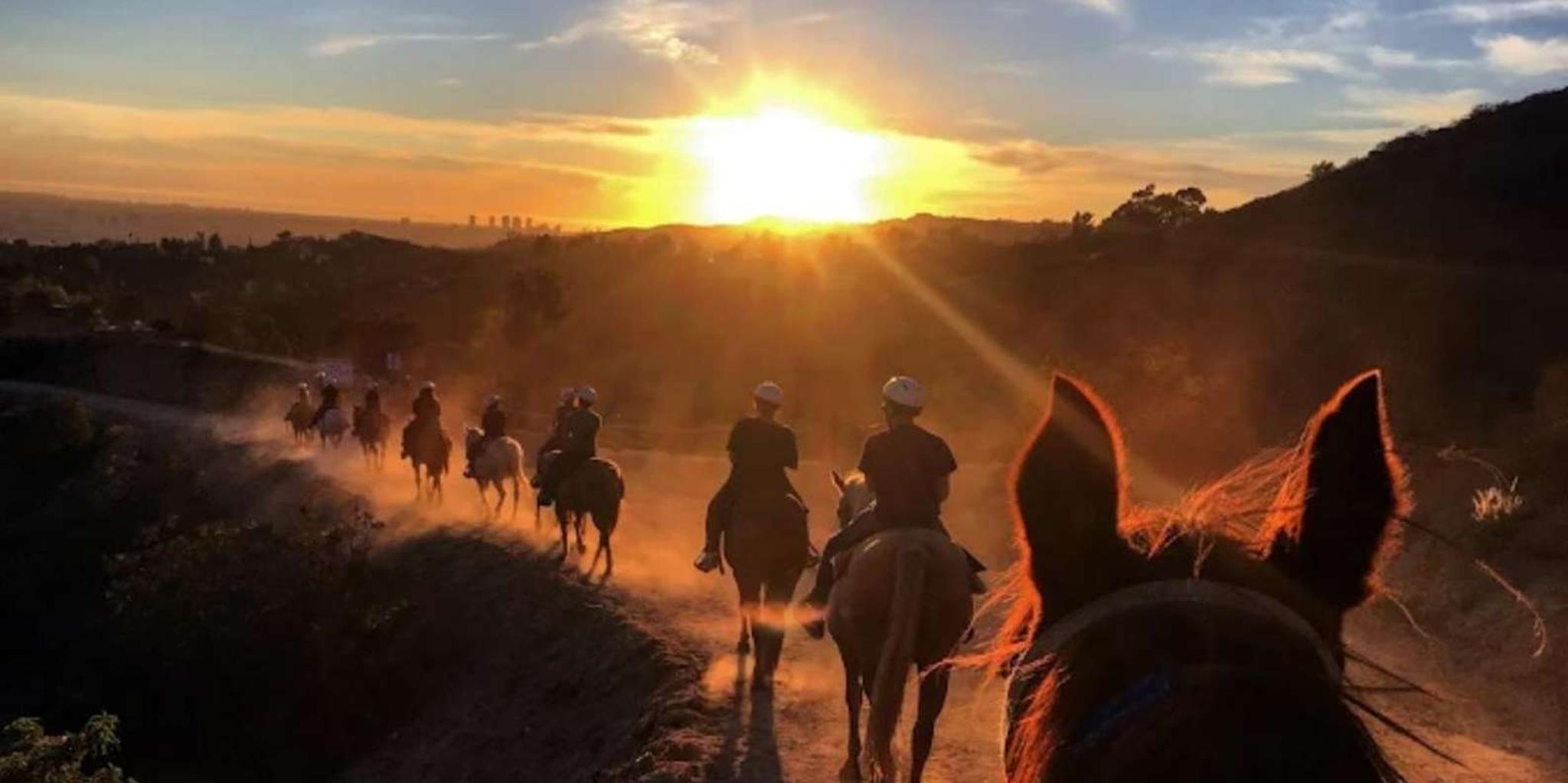 Los Angeles Hollywood Hills Horseback Ride - Image 4