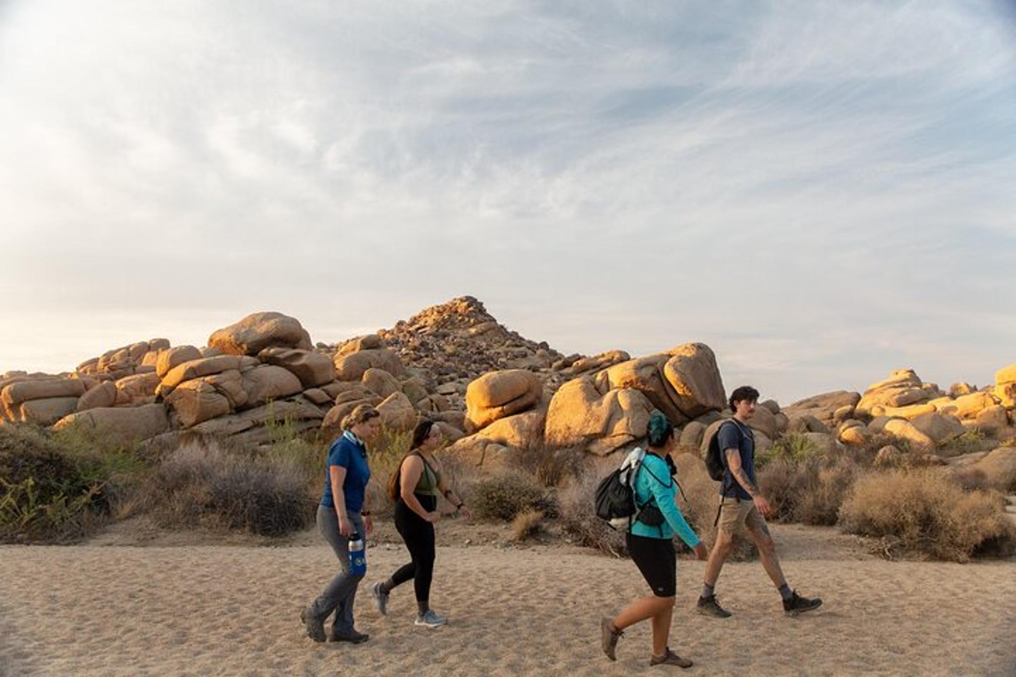 Joshua Tree Private Tour and Hike - Image 2
