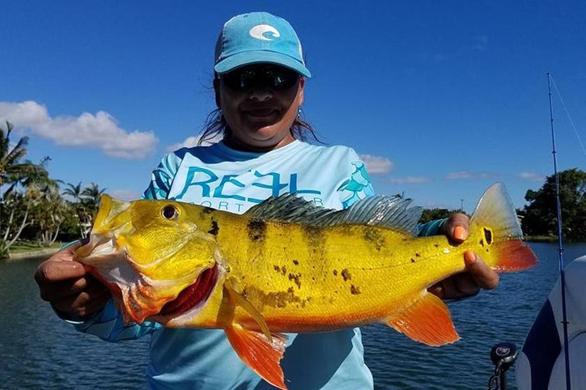 Key Largo Peacock Bass Fishing Trip - Image 6