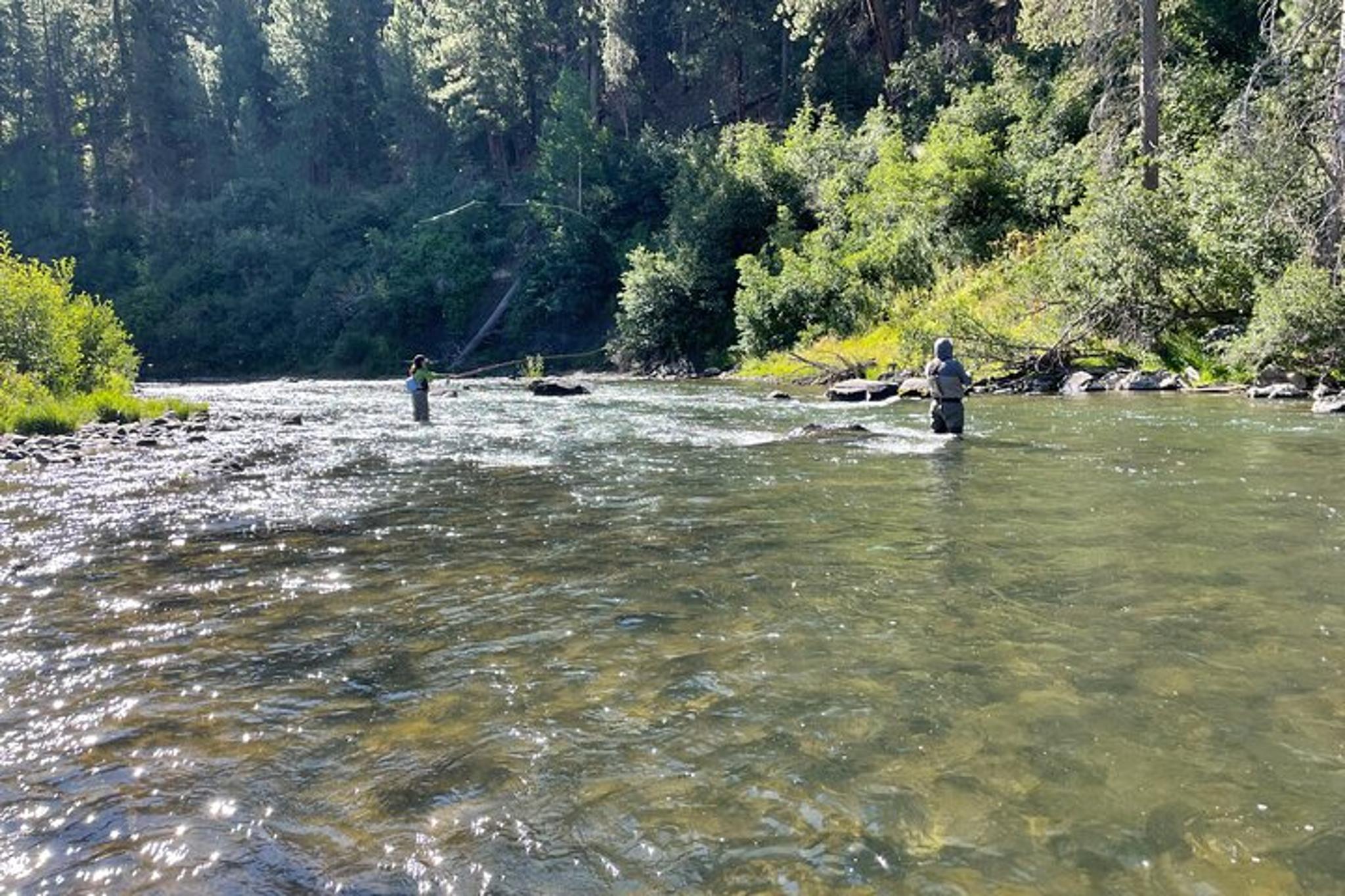 Truckee Fly Fishing Guide Trip - Image 2