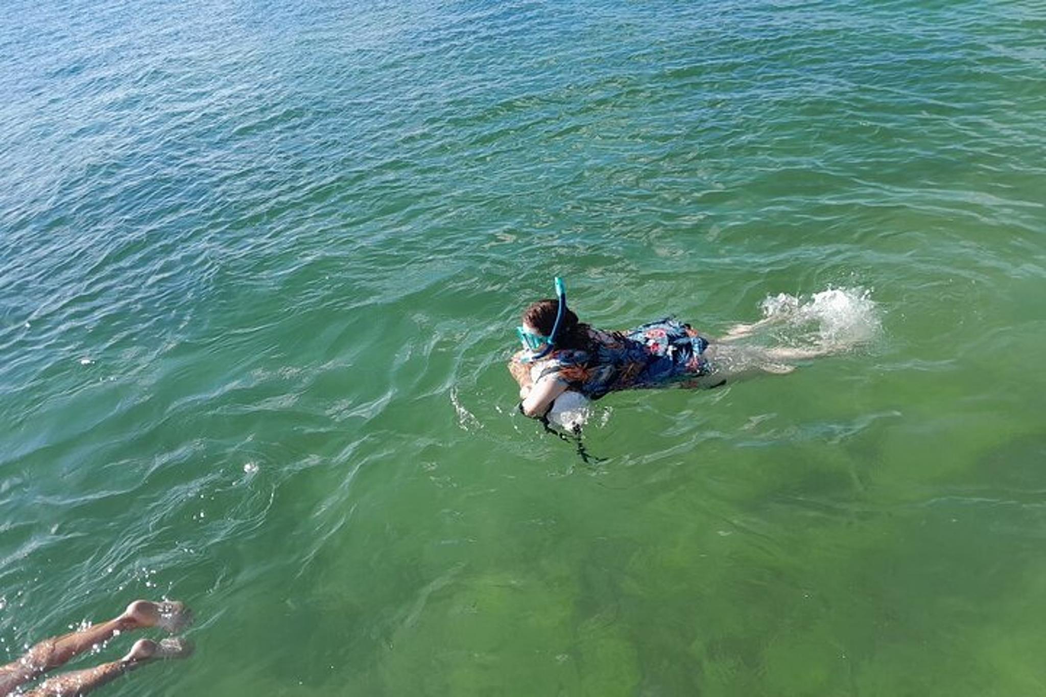 Miami Snorkel Adventure and Sandbar Trip - Image 5