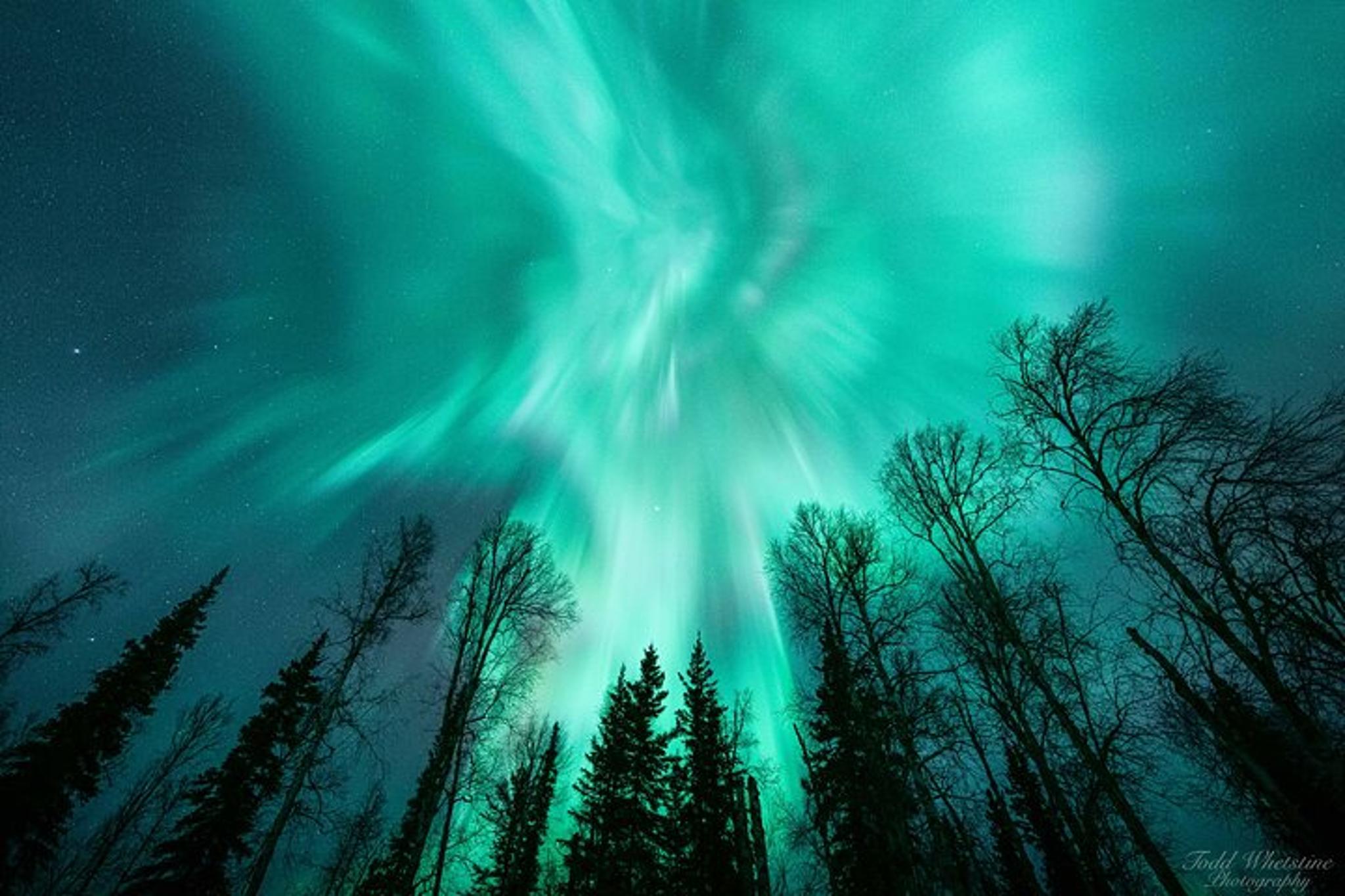 Fairbanks Northern Lights Photo Workshop - Image 5