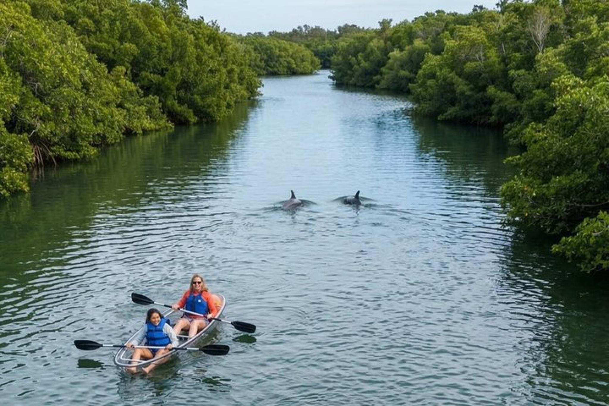 Indian River Lagoon Clear Kayak or Paddleboard Tour - Image 6