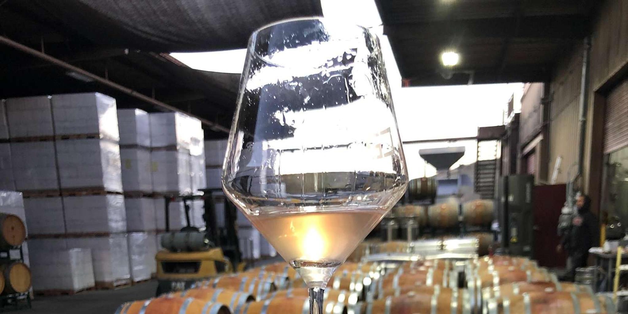 Santa Barbara Wine Tour to Private Vineyards - Image 5