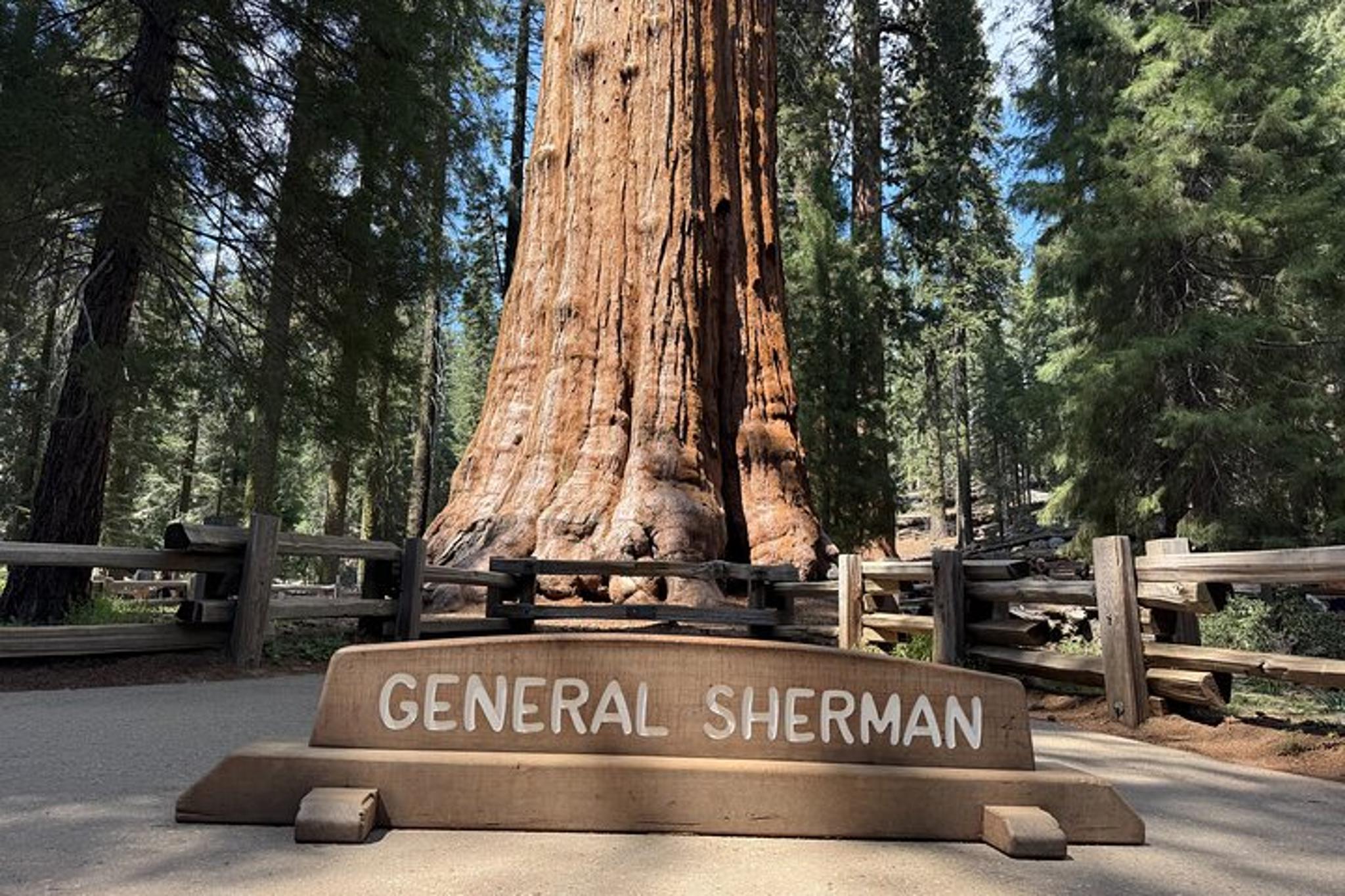 Los Angeles Sequoia and Kings Canyon Private Tour