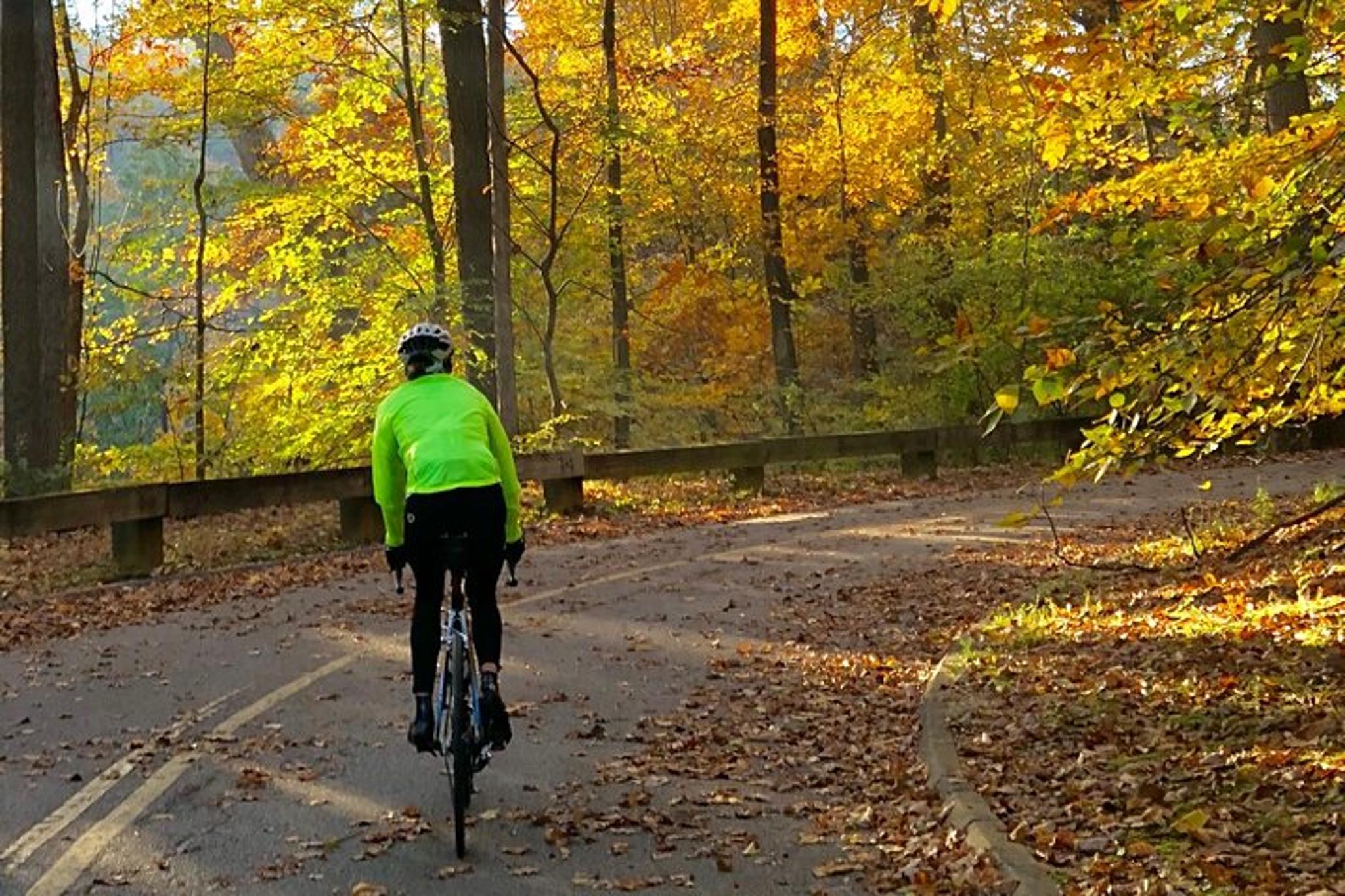 Washington DC Private Road Ride - Image 4
