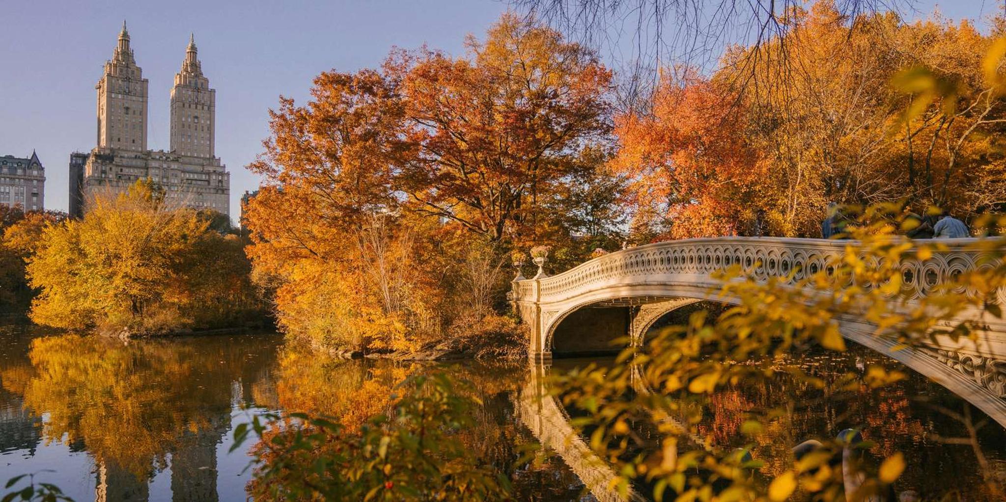 New York Central Park Walking Tour - Image 1