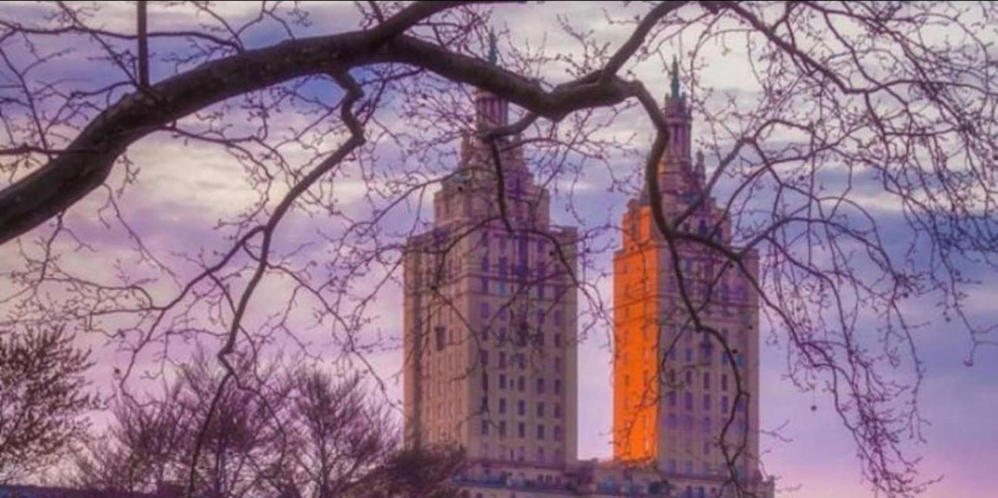 New York Central Park Horse and Carriage Ride - Image 1