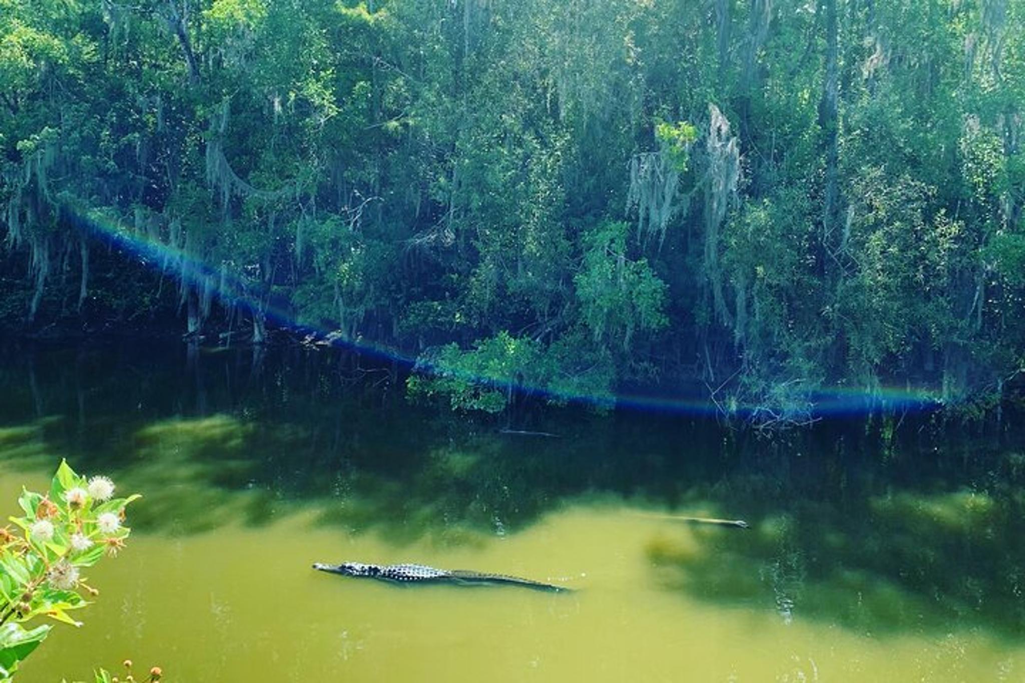 Everglades Safari-Style Jeep Tour - Image 5