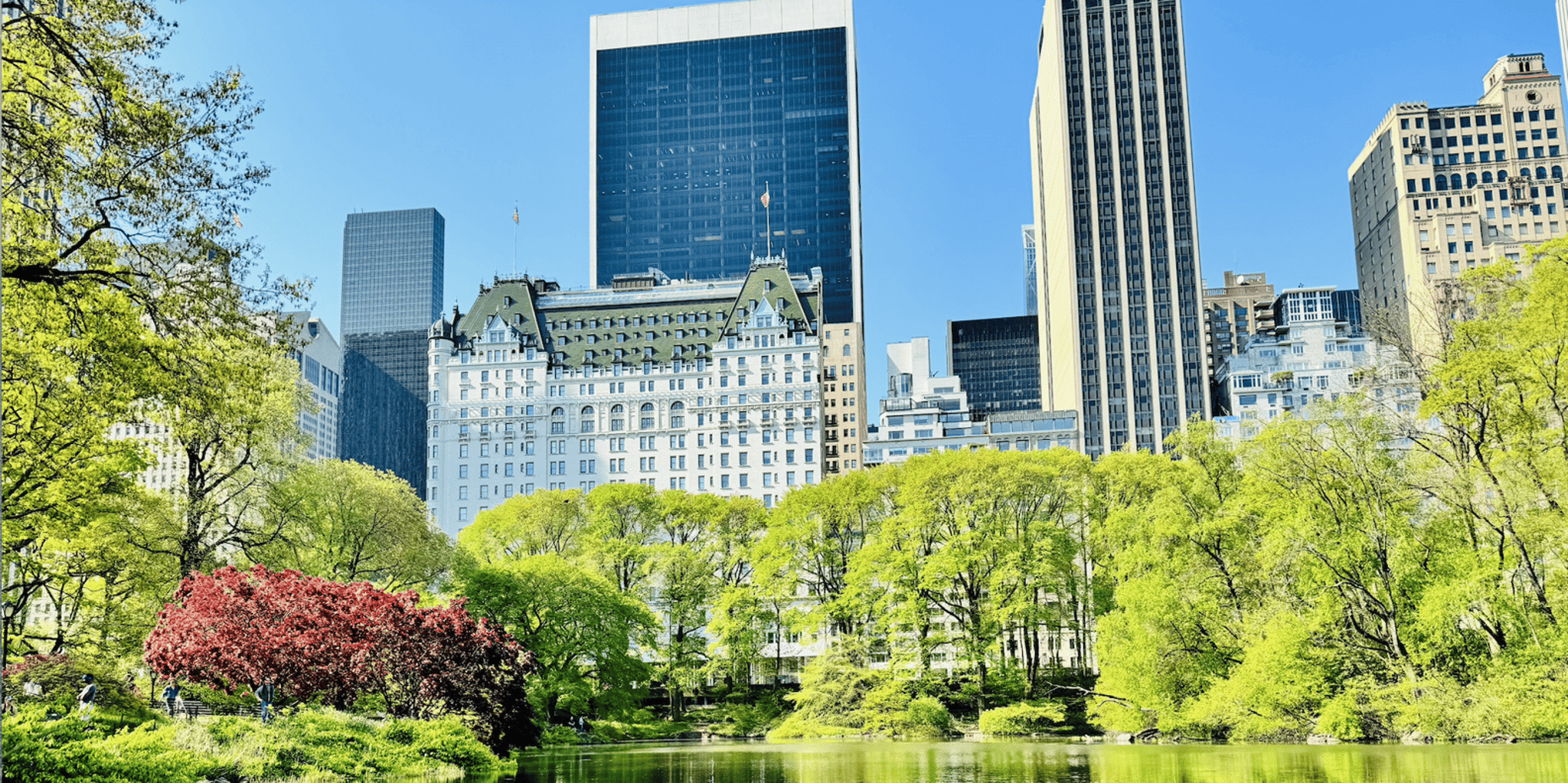 New York City Central Park Pedicab Tour - Image 4