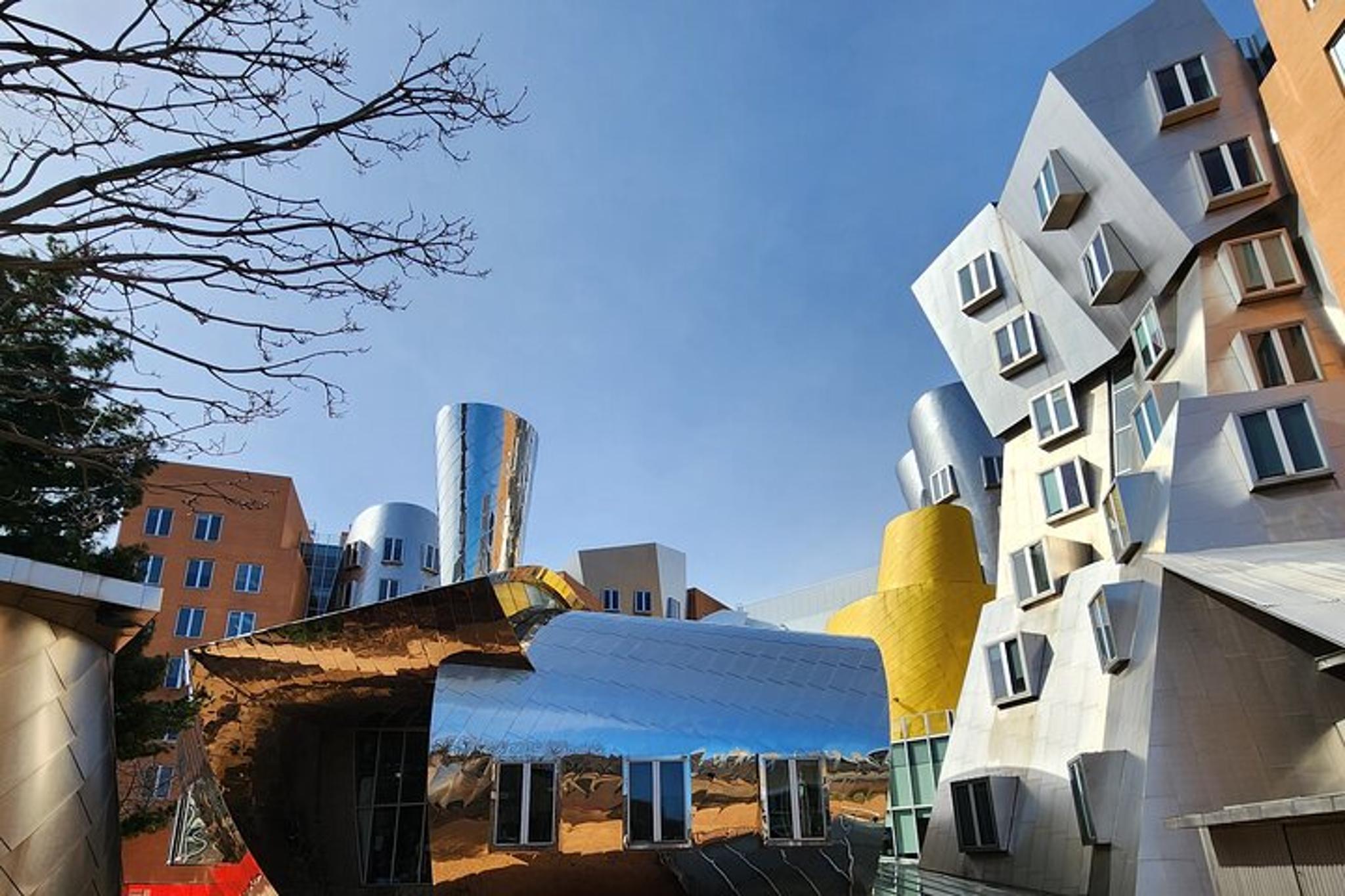 Cambridge University Tour of MIT and Harvard - Image 6