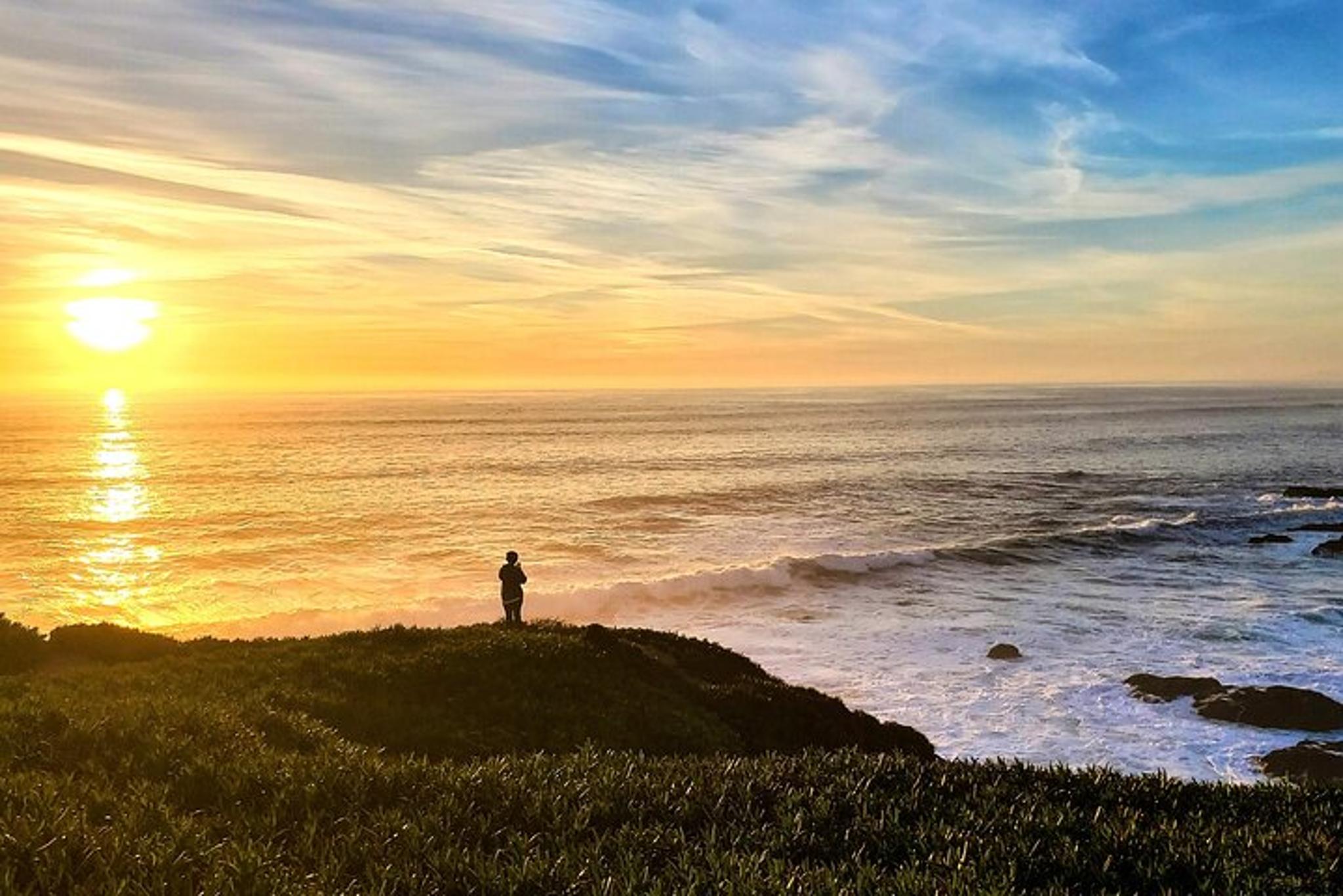 Bodega Head Self-Guided Audio Tour - Image 4