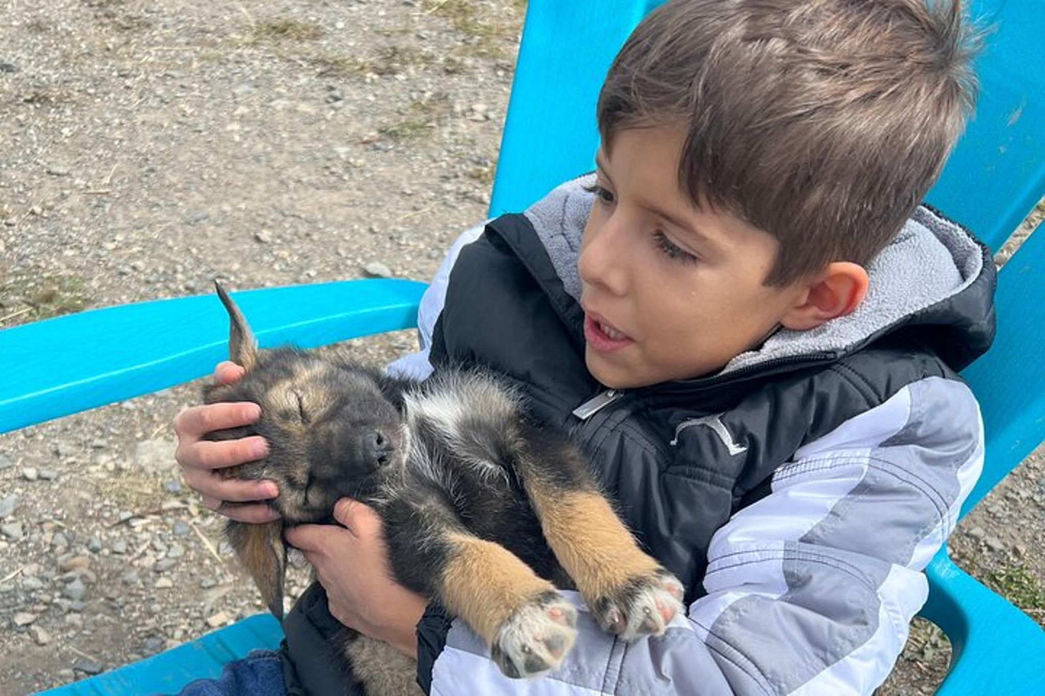 Skagway Yukon Dog Mushing Adventure Full-Day Tour - Image 3