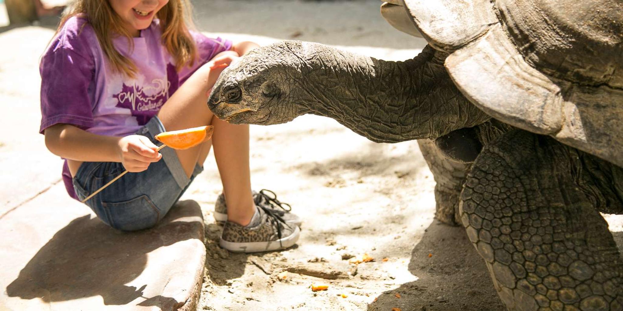 Orlando Gatorland Skip-the-Line Ticket - Image 4