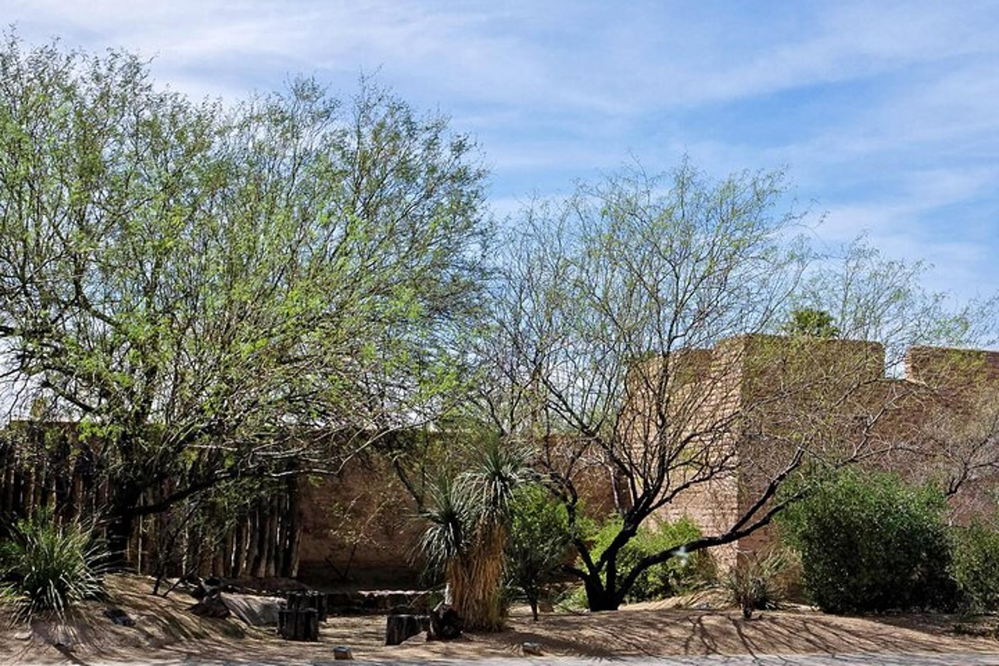 Tucson Audio Walking Tour by Historian - Image 6