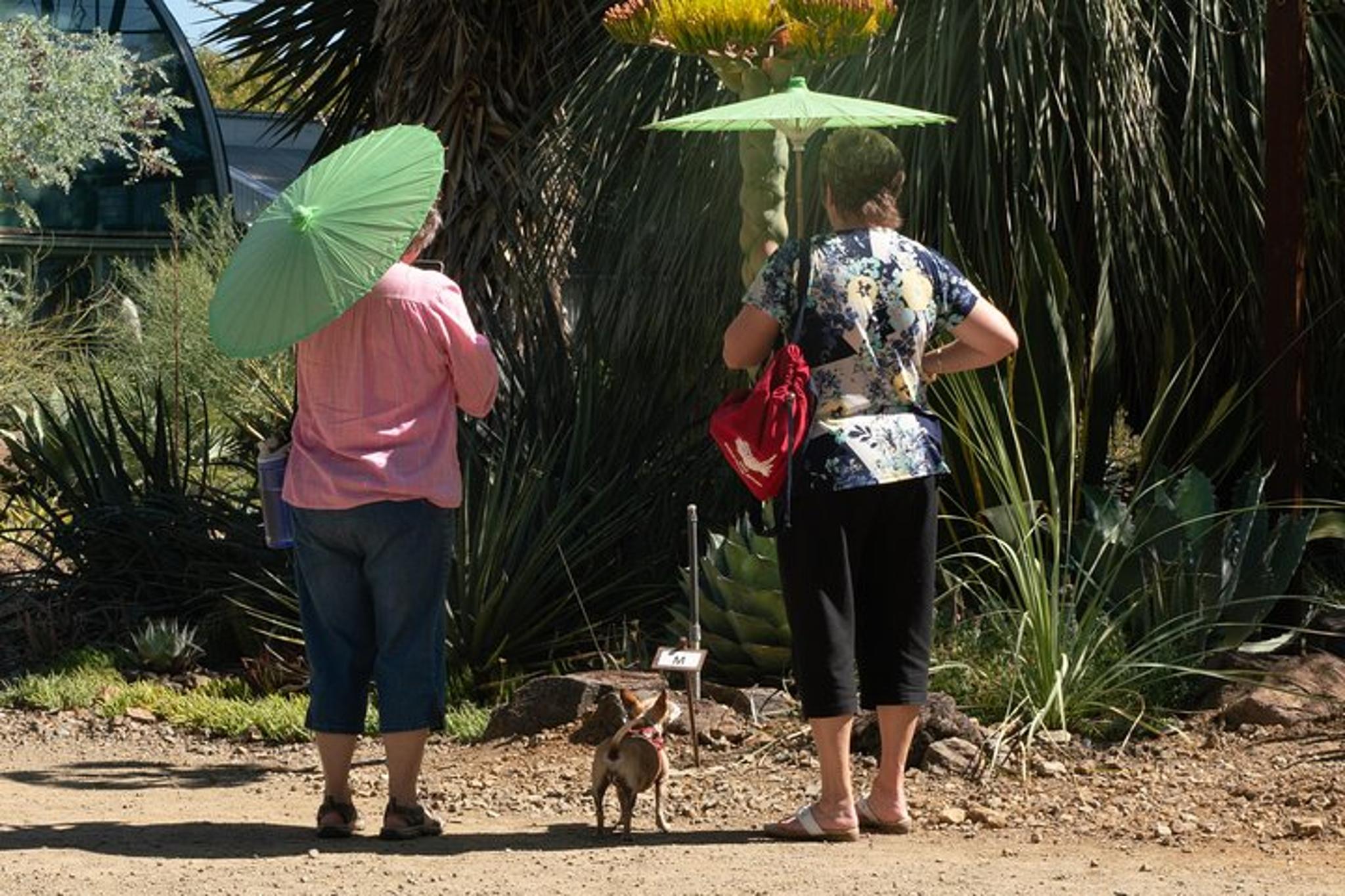 Walnut Creek Botanical Garden Admission - Image 6
