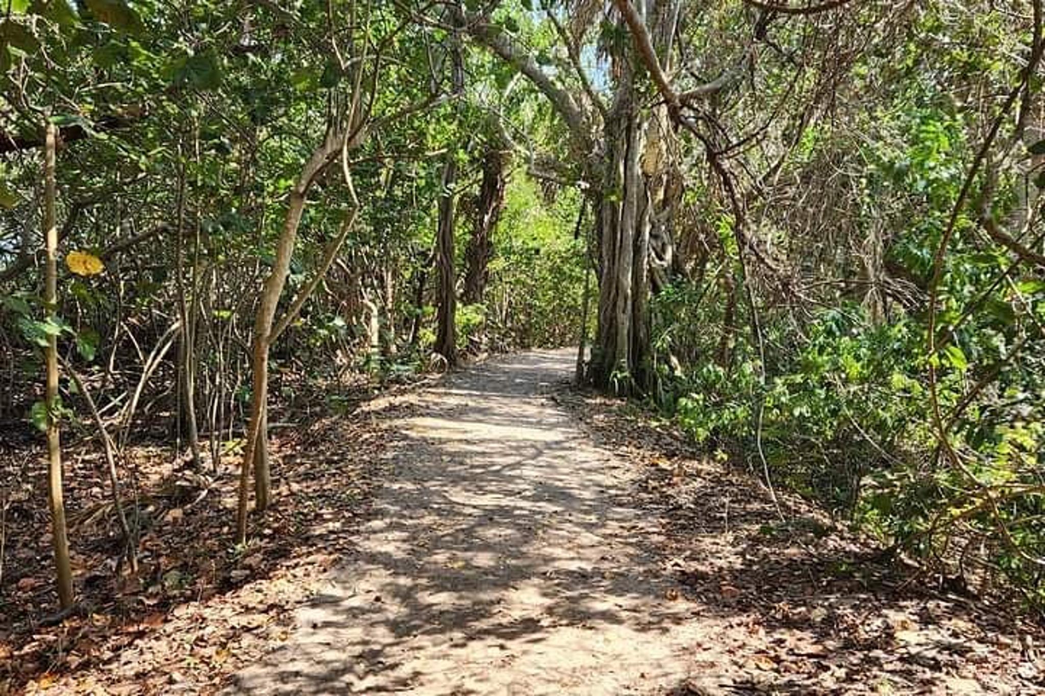 Florida Backcountry Camping Adventure - Image 4