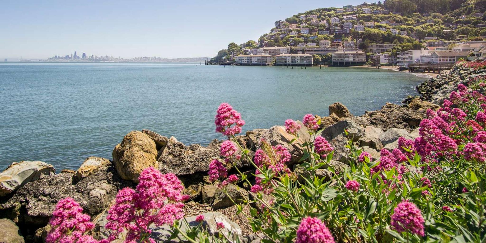 San Francisco Muir Woods and Sausalito Tour - Image 4