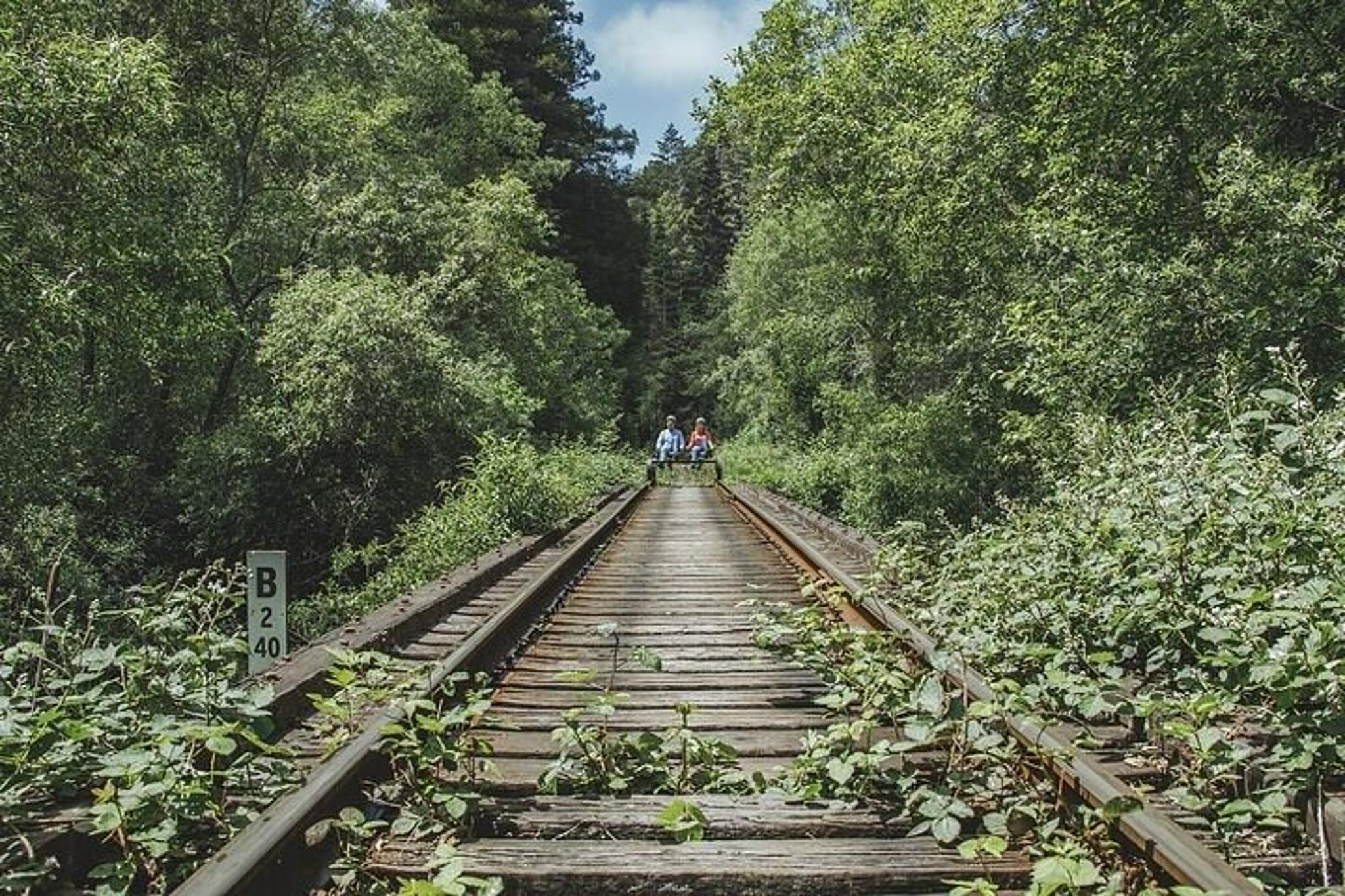 Fort Bragg Railbike Adventure Along Pudding Creek - Image 4