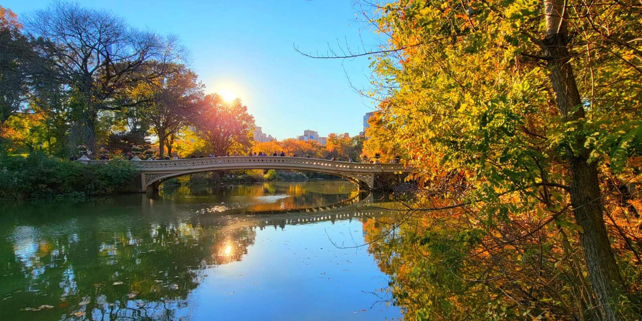 New York Central Park Walking Tour - Image 6