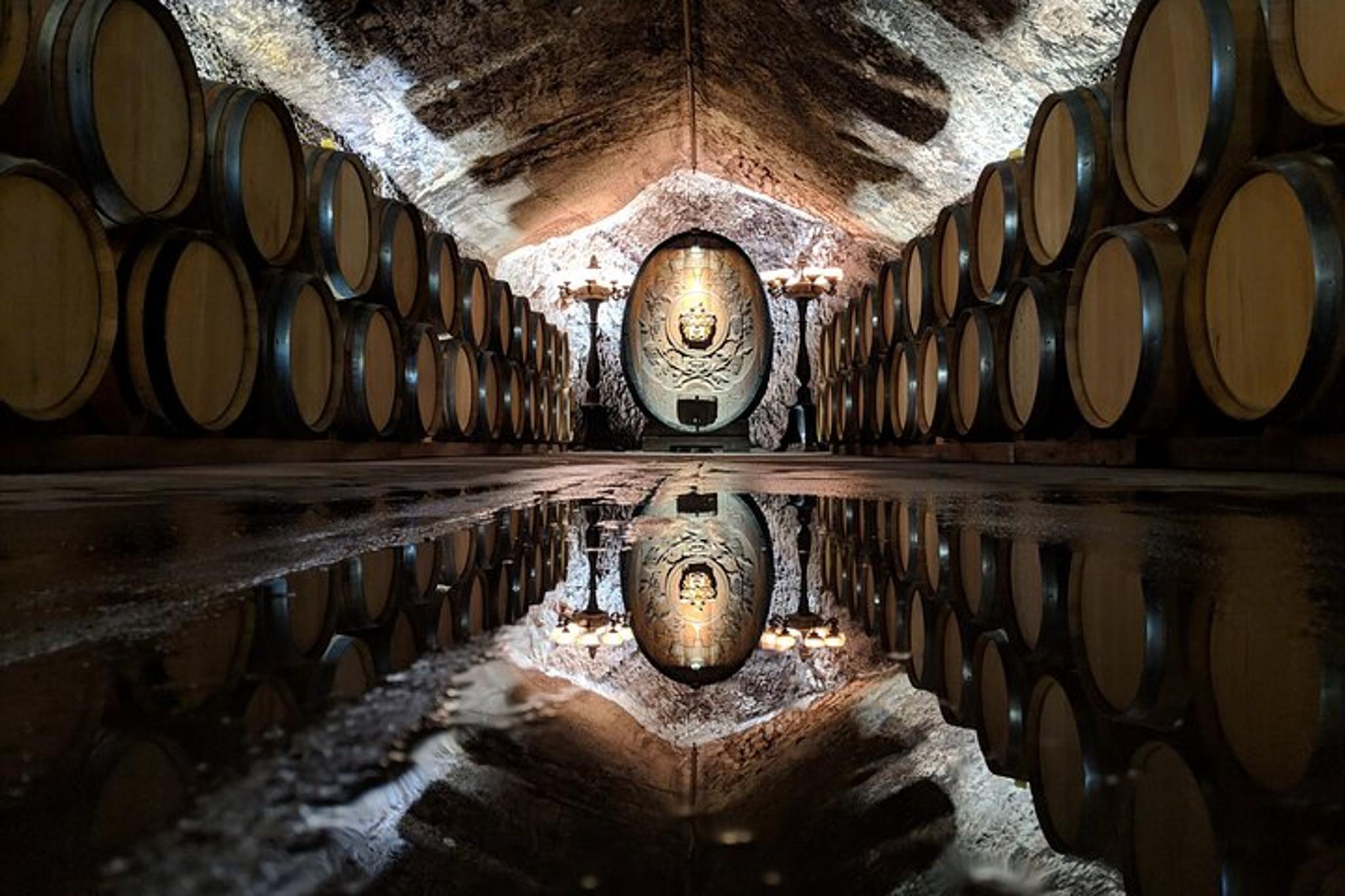 Sonoma County Wine Segway Tour - Image 5