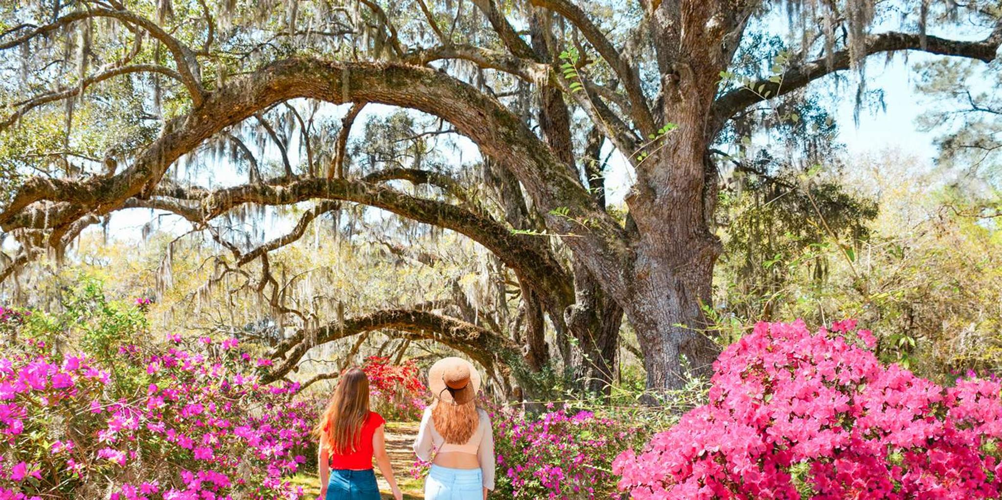 Charleston Magnolia Plantation Tour with Transport - Image 2