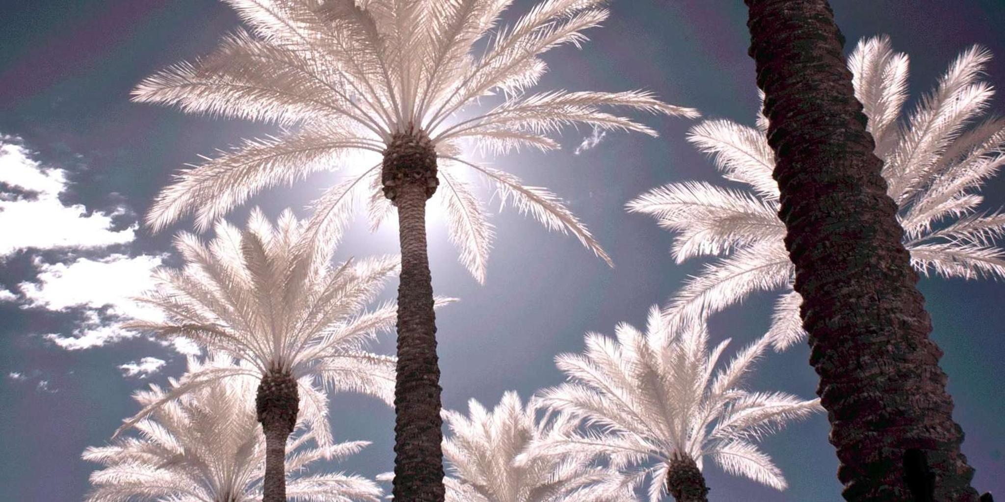 Phoenix Private Tour - Image 3