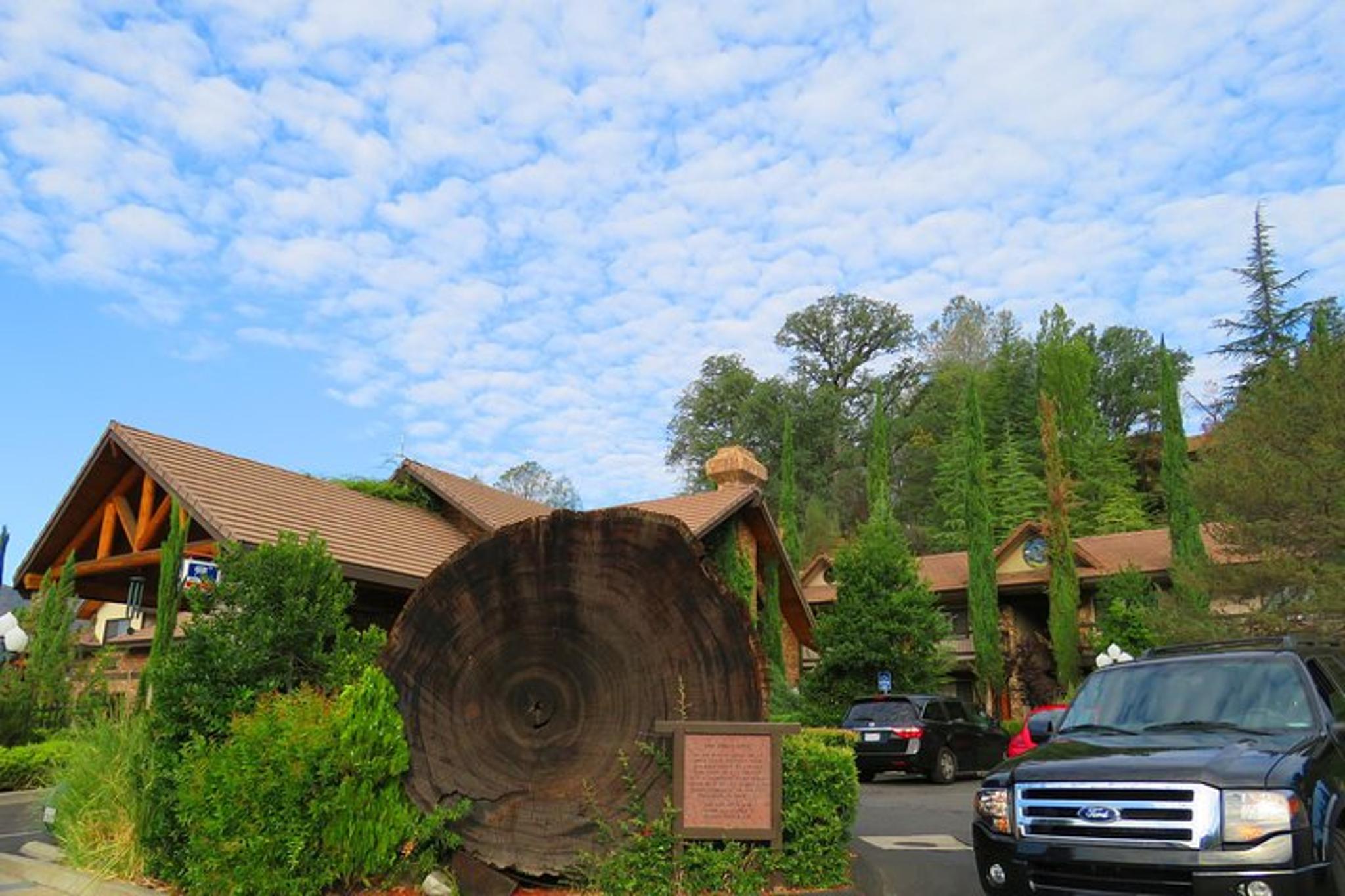 Yosemite National Park Private Tour with Hotel 2-Day - Image 3