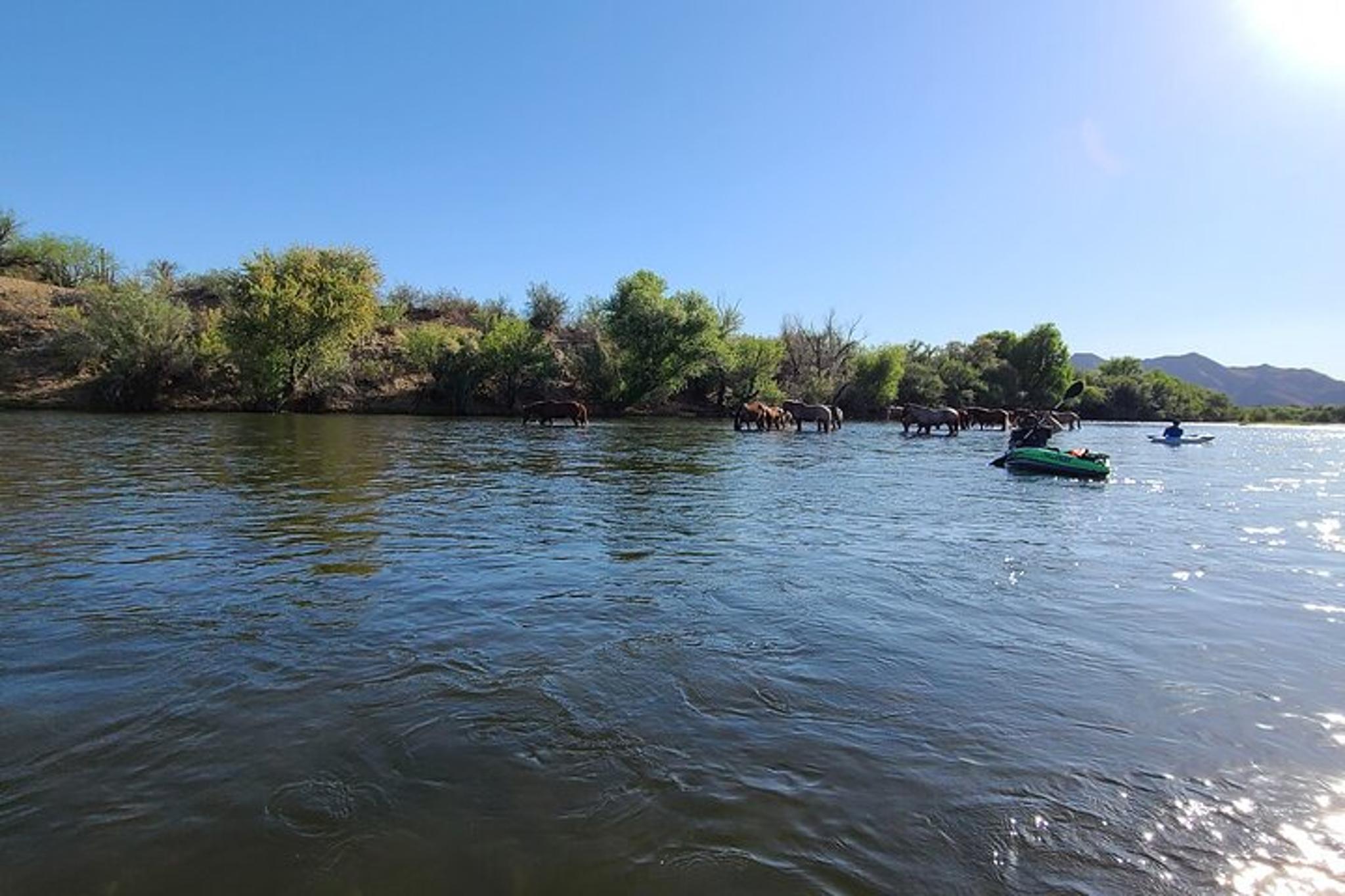 Phoenix Paddle Board Trip on the Lower Salt River - Image 5