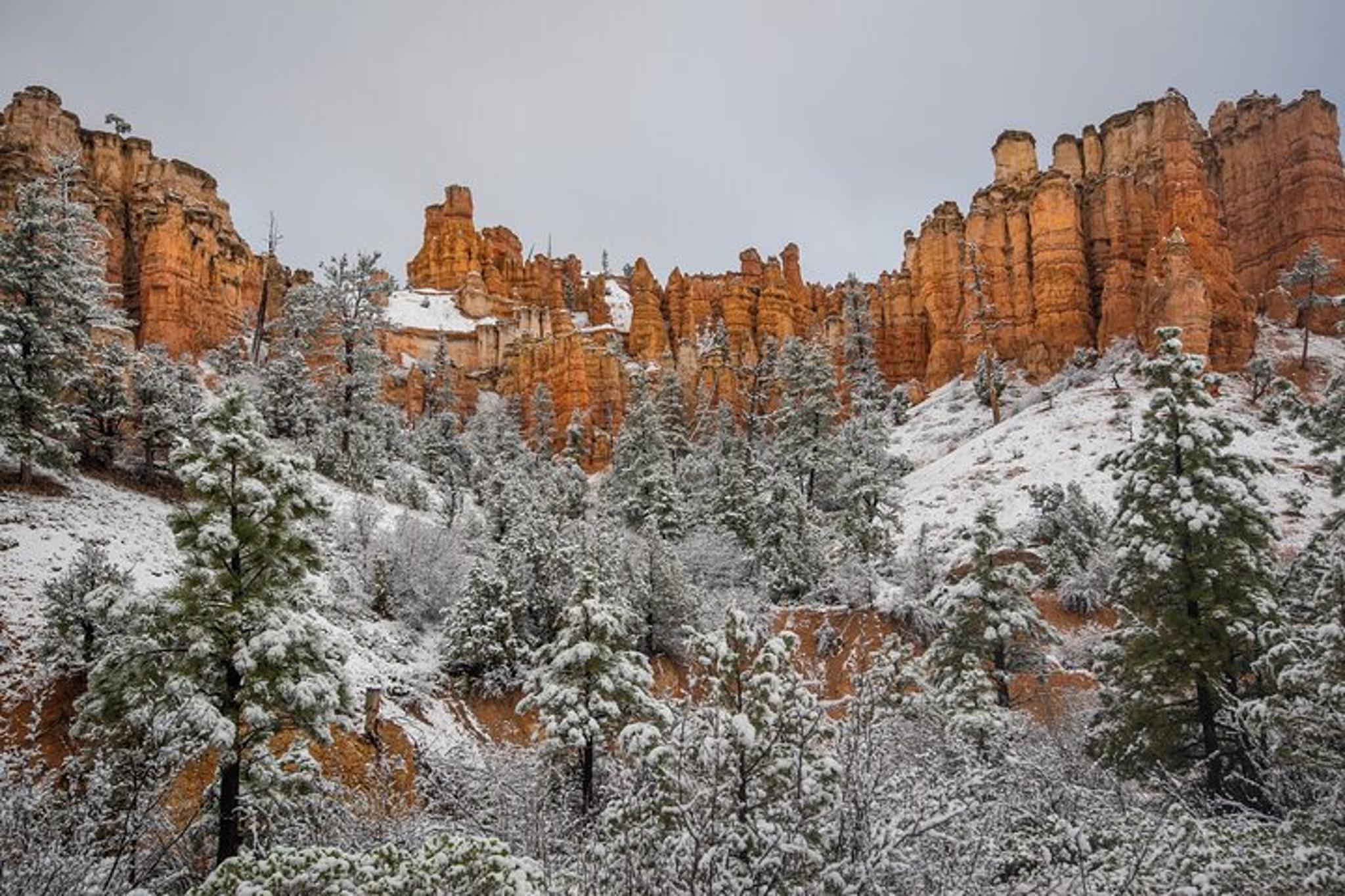 Las Vegas Bryce Canyon & Zion National Park Day Tour - Image 5