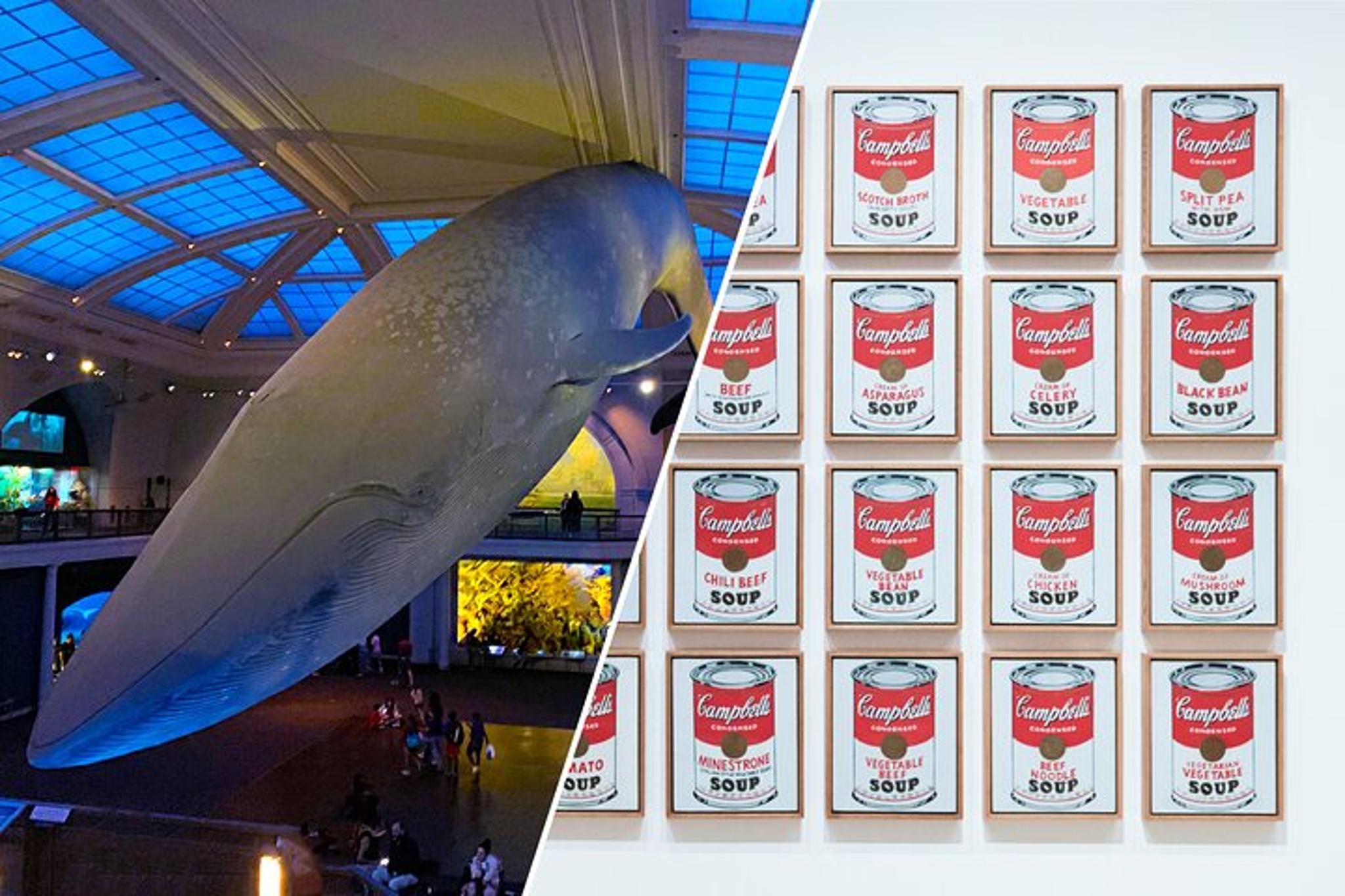 New York Museum Combo Tour