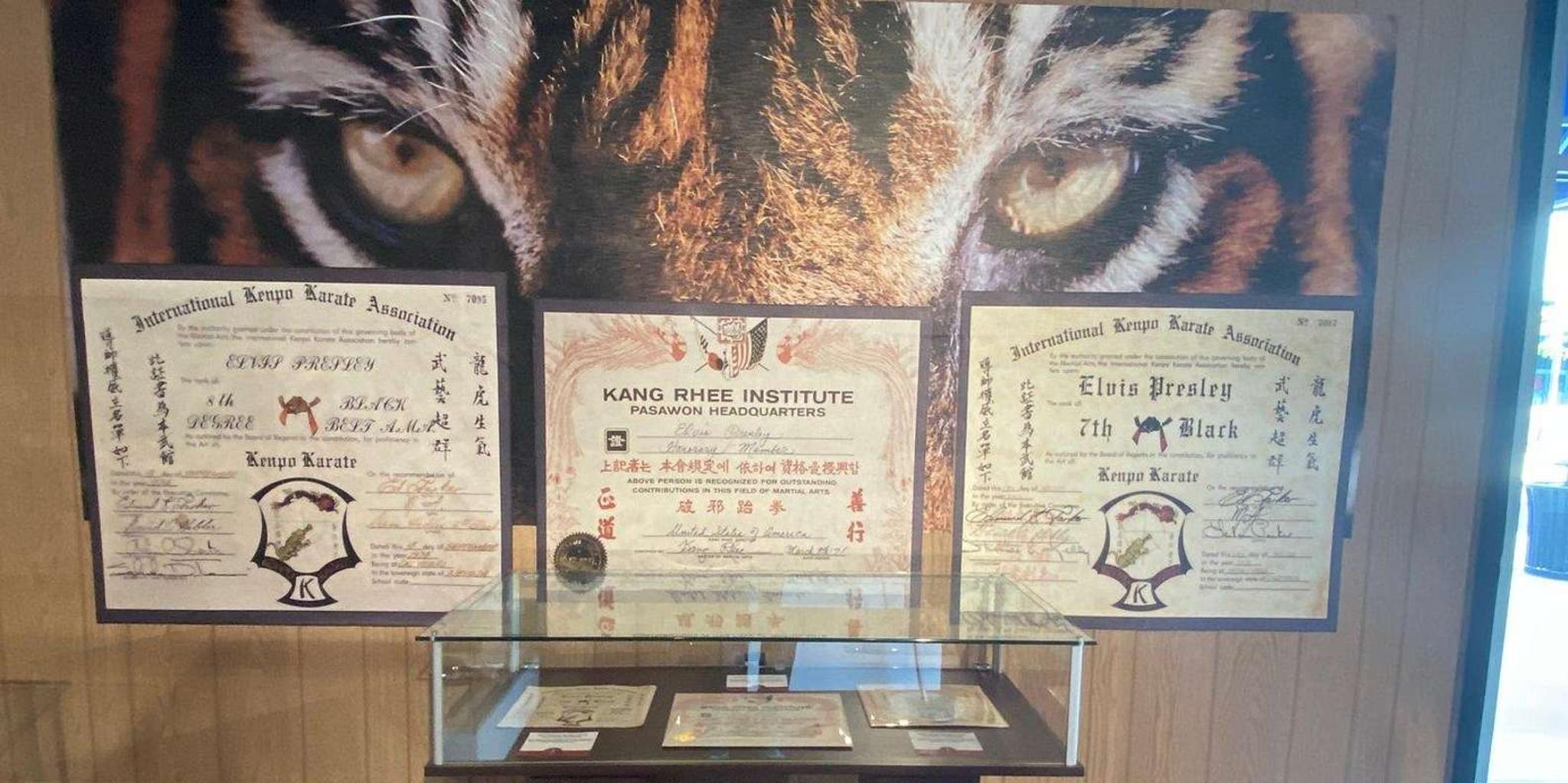 Memphis TigerMan Karate Dojo & Museum Tour - Image 2