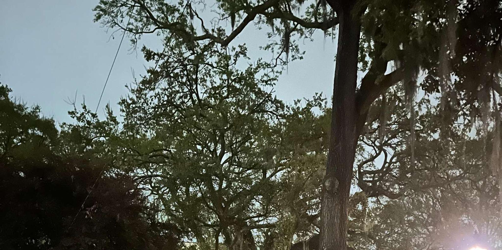 Woodstock Ghost Tour with Pub Crawl 2 hr - Image 5