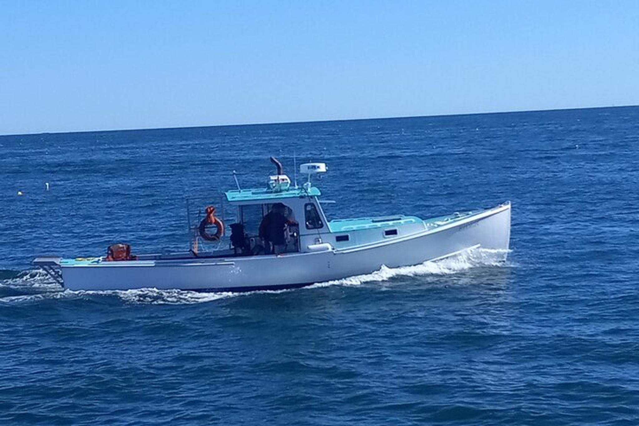 Bar Harbor Fishing Charter in Frenchman Bay - Image 4