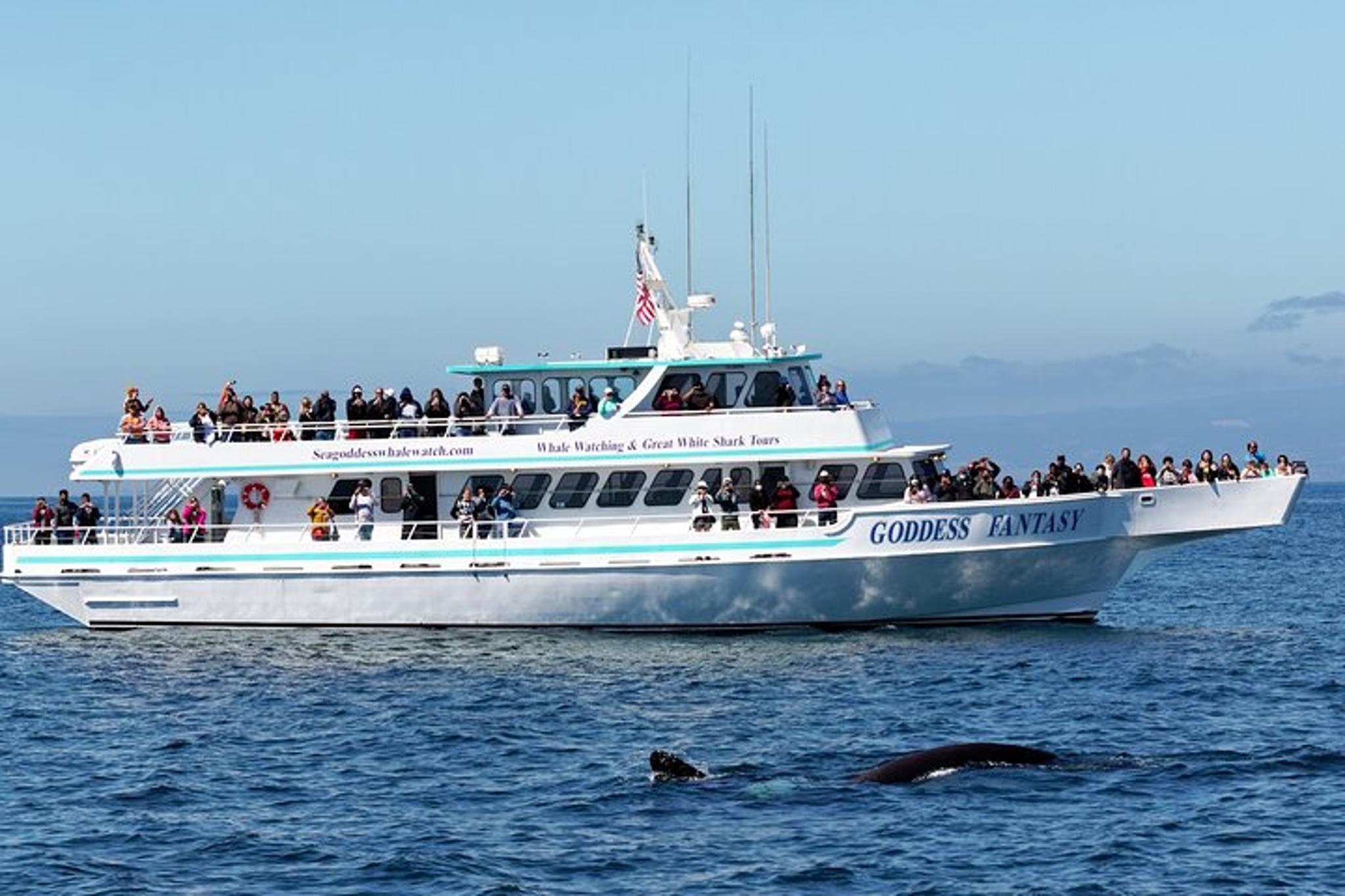 Monterey Bay Whale Watching Tour