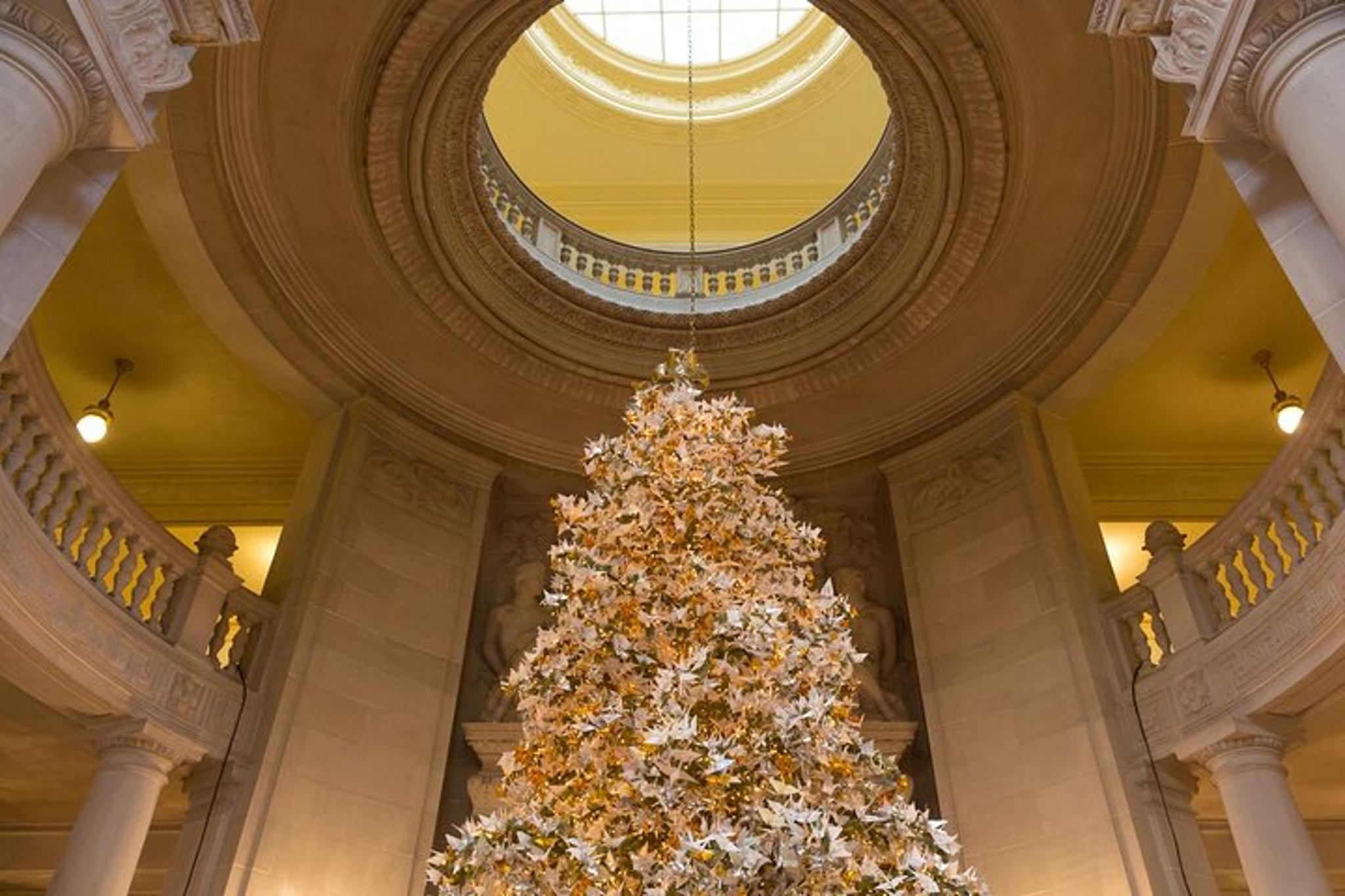 San Francisco Christmas Private Tour - Image 5