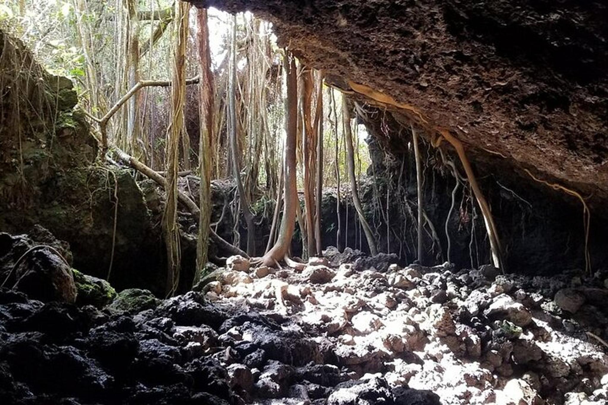 Maui Road to Hana Tour Half Day - Image 4