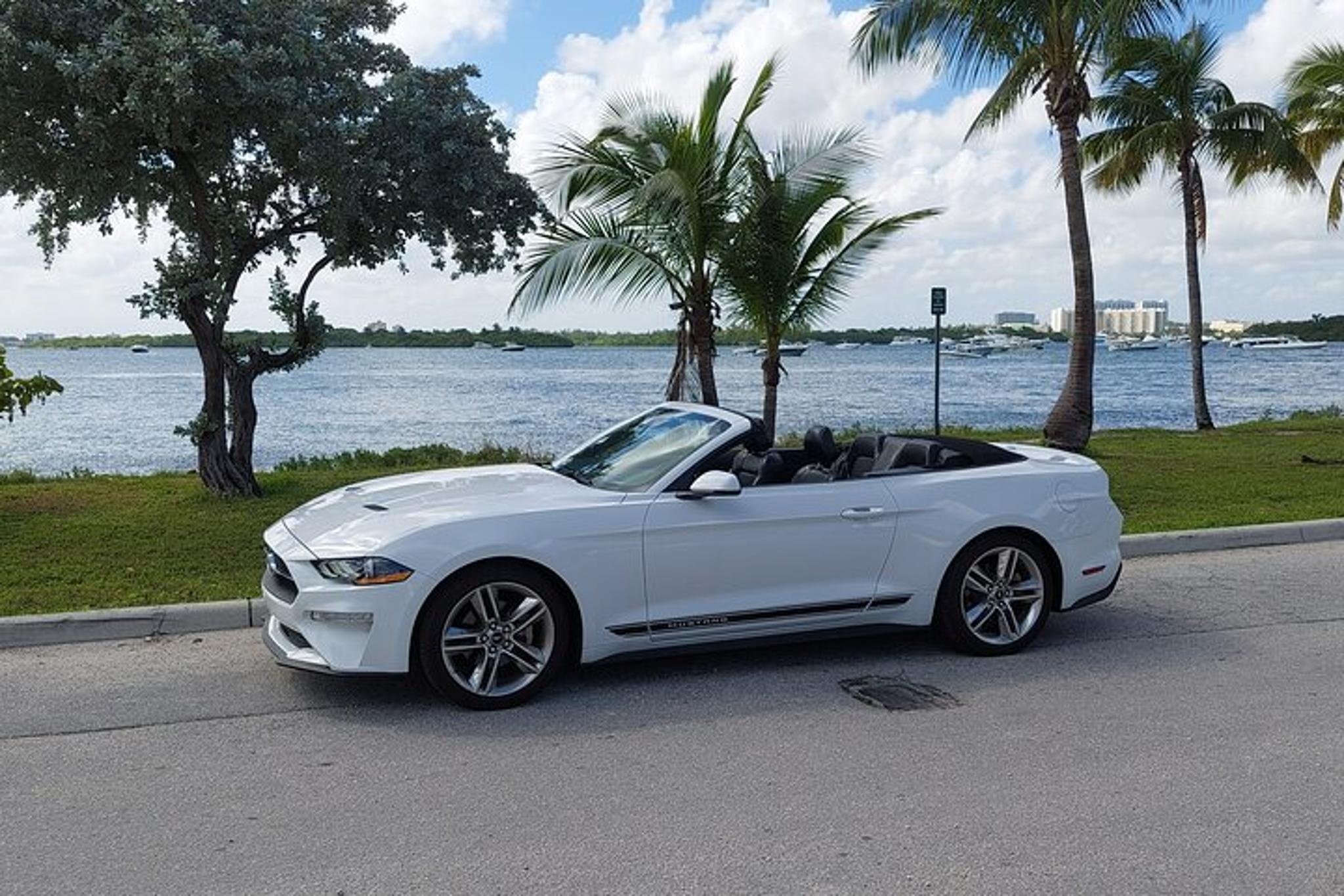 Miami Convertible Mustang Tour - Image 2