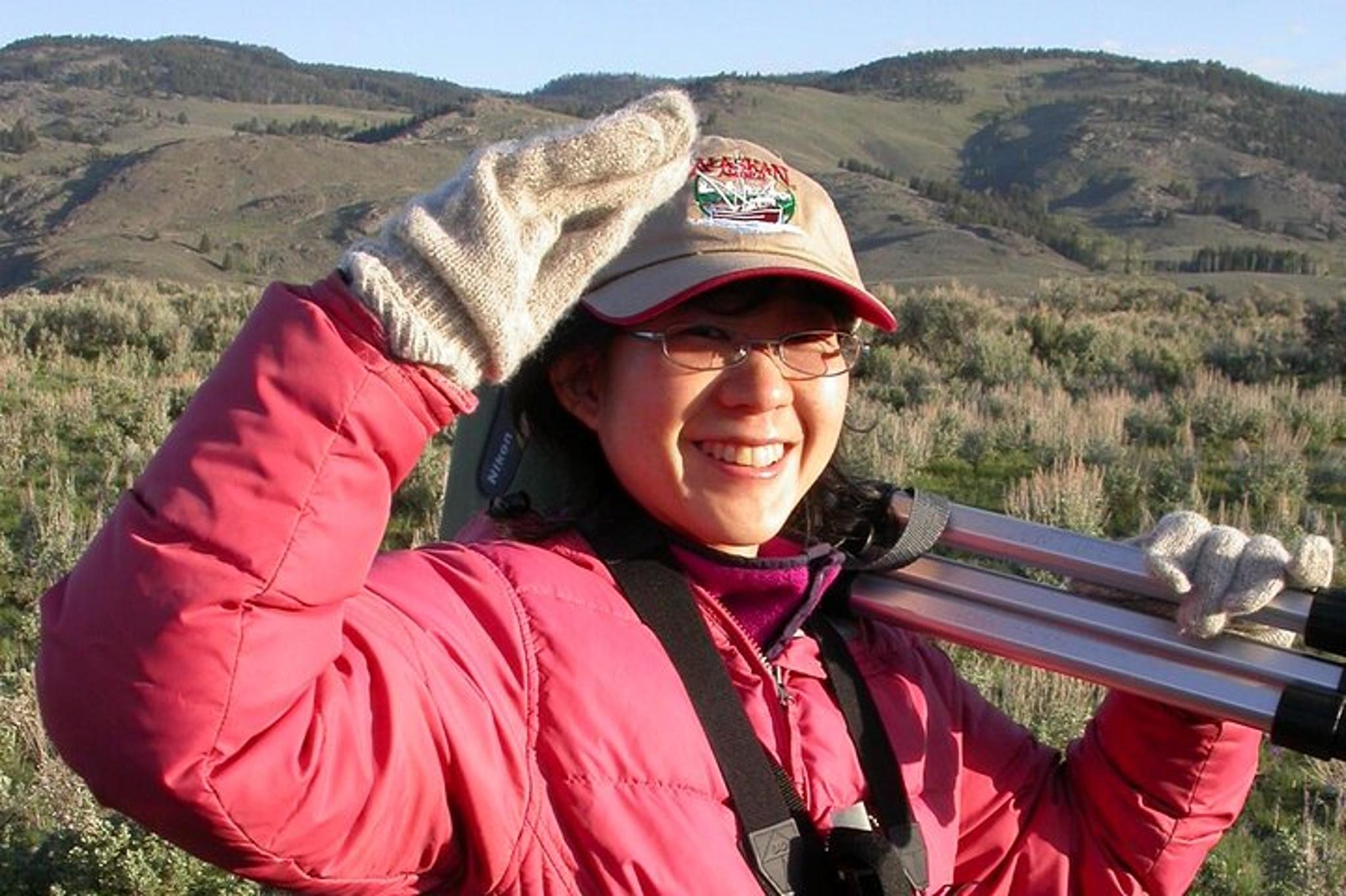 Yellowstone Wolf and Bear Watching Tour - Image 3