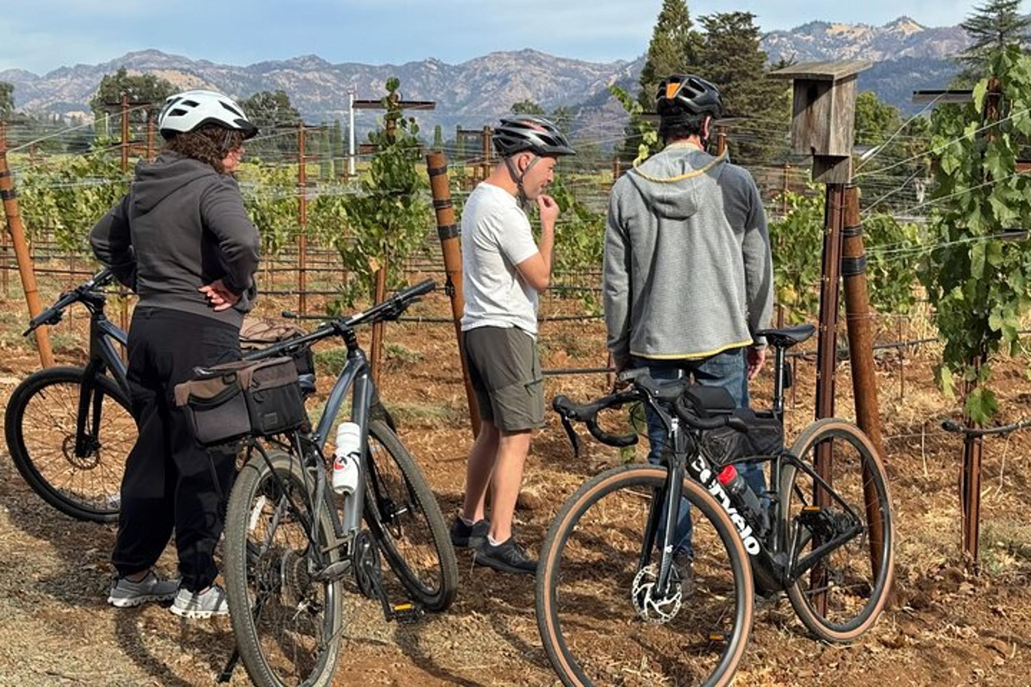 Napa Valley Cycling Tour with a Winemaker - Image 2