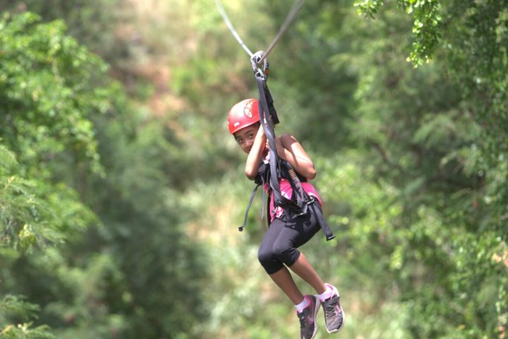 Coral Crater Zipline Adventure in Oahu - Image 2