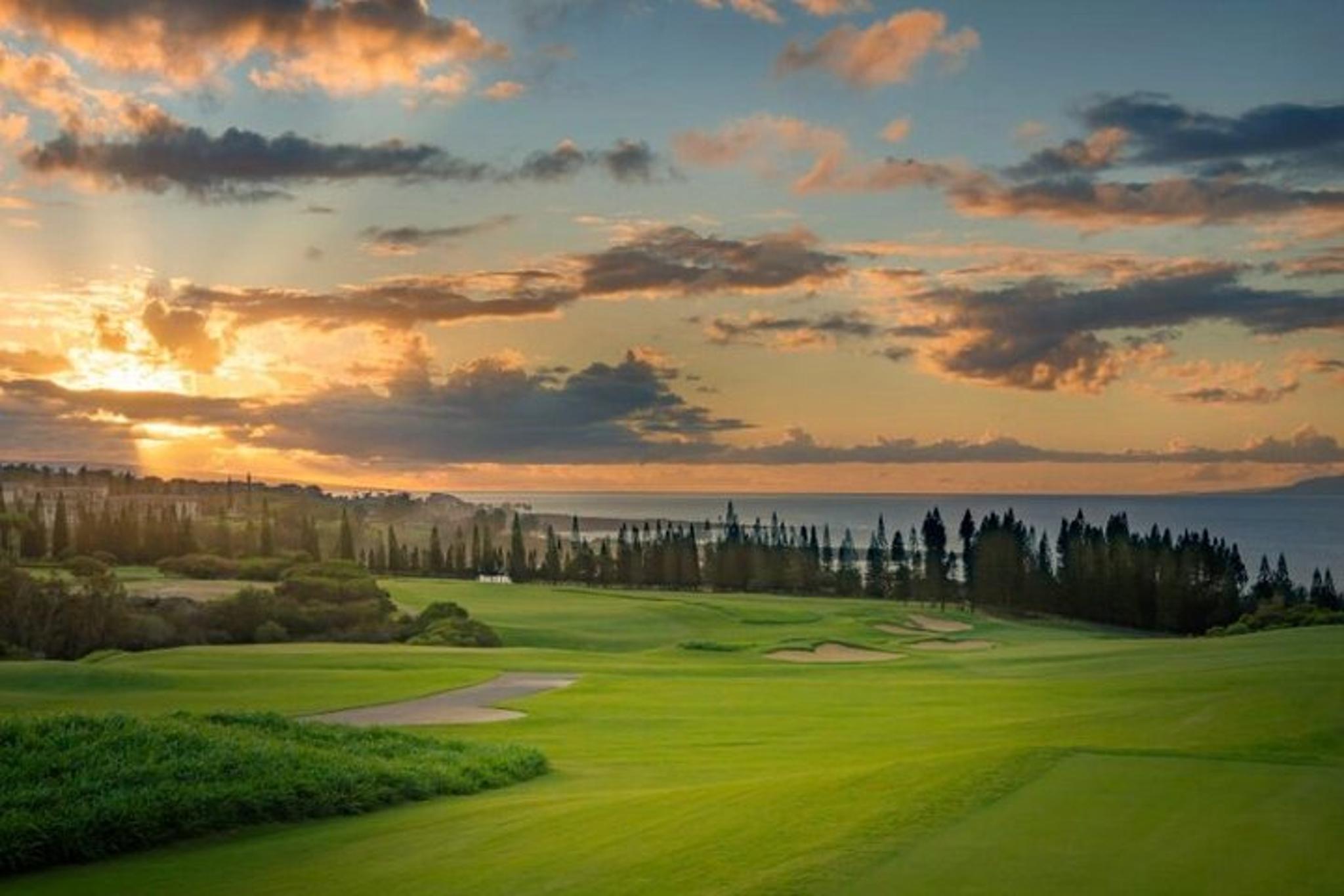 Maui Open-Air Banyan Tree & Blowhole Tour - Image 5