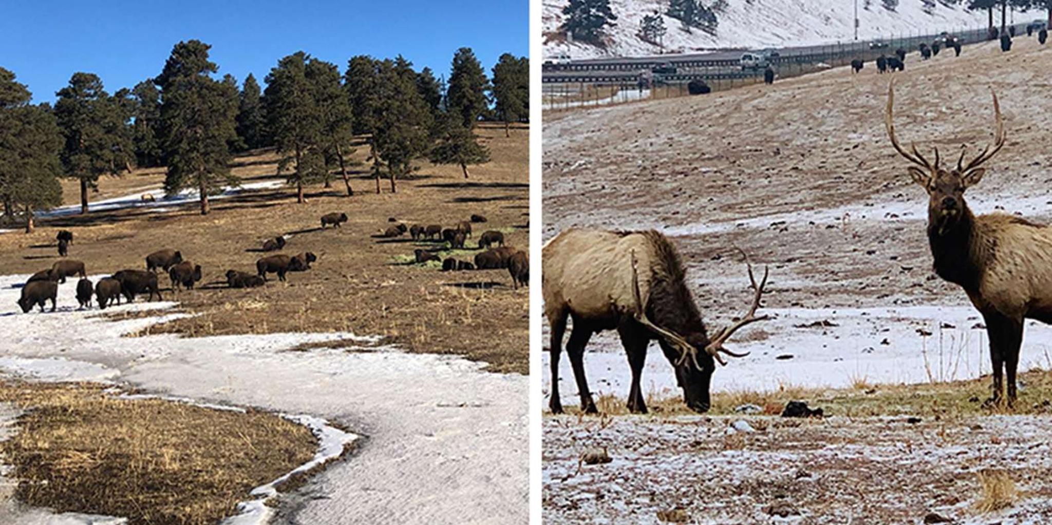 Denver Mountain Tour with Sunset Views - Image 6