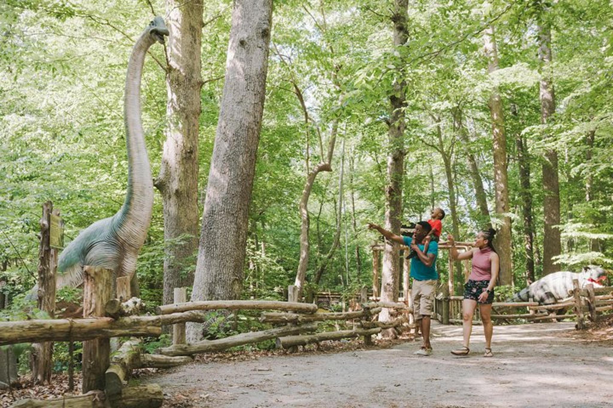 Virginia Living Museum Adventure - Image 2