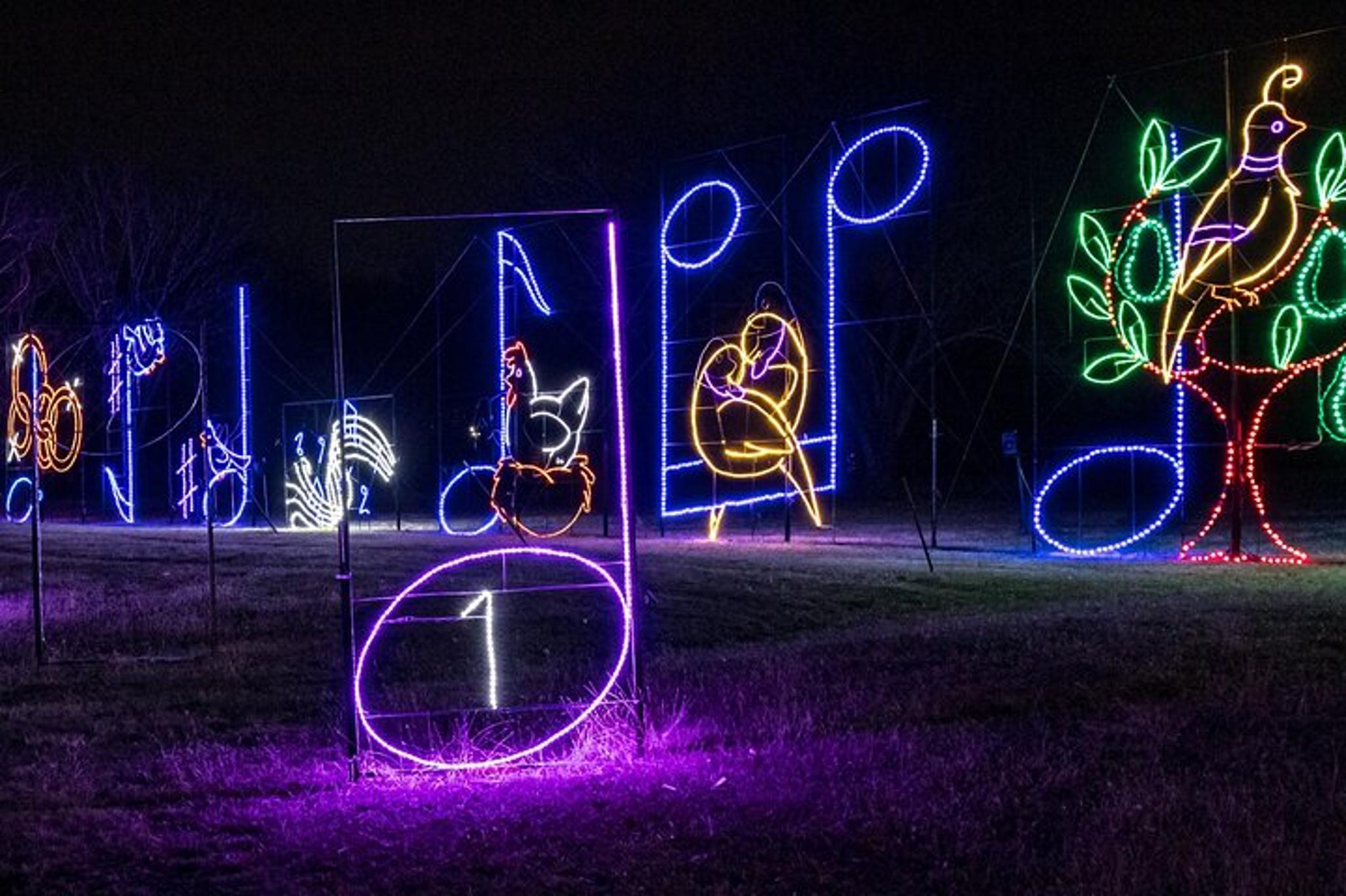 Branson Christmas Light Drive-Thru - Image 2