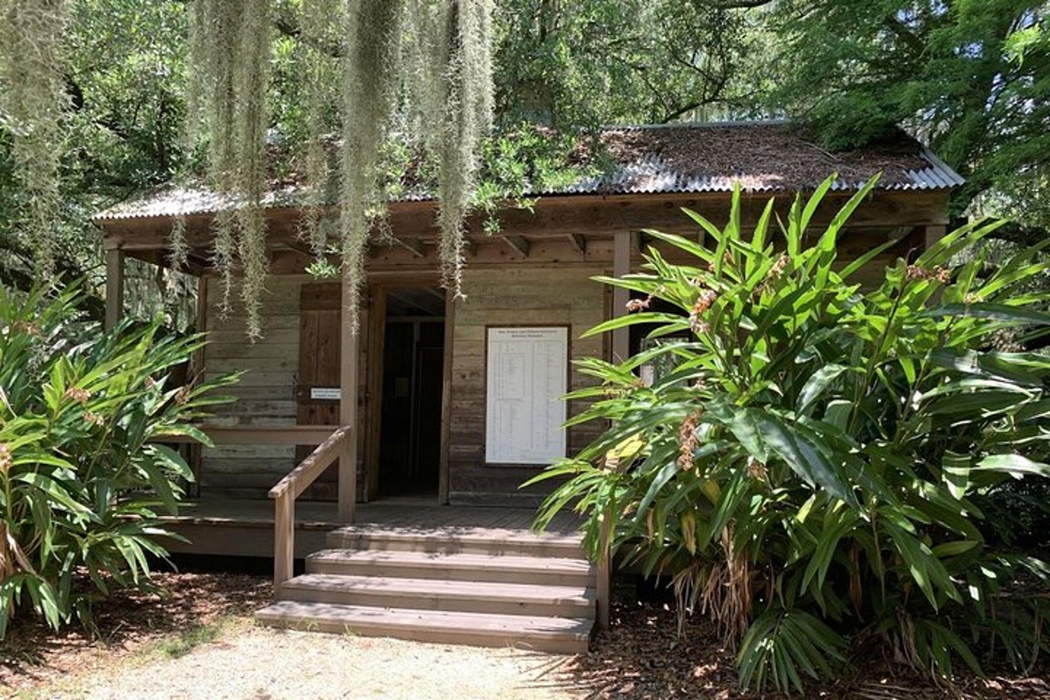 New Orleans Plantation and Airboat Tour - Image 3
