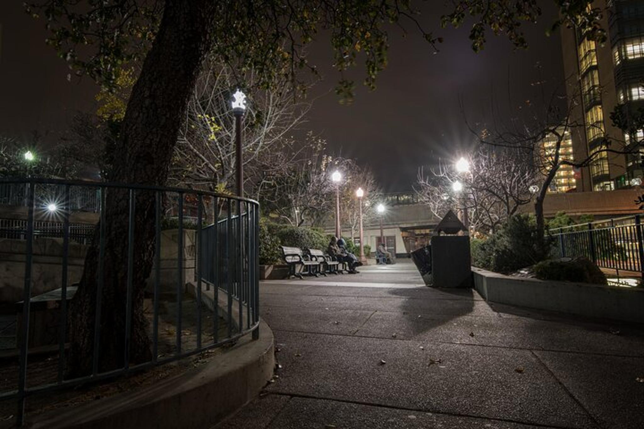 San Francisco Gold Rush History Walking Tour - Image 6